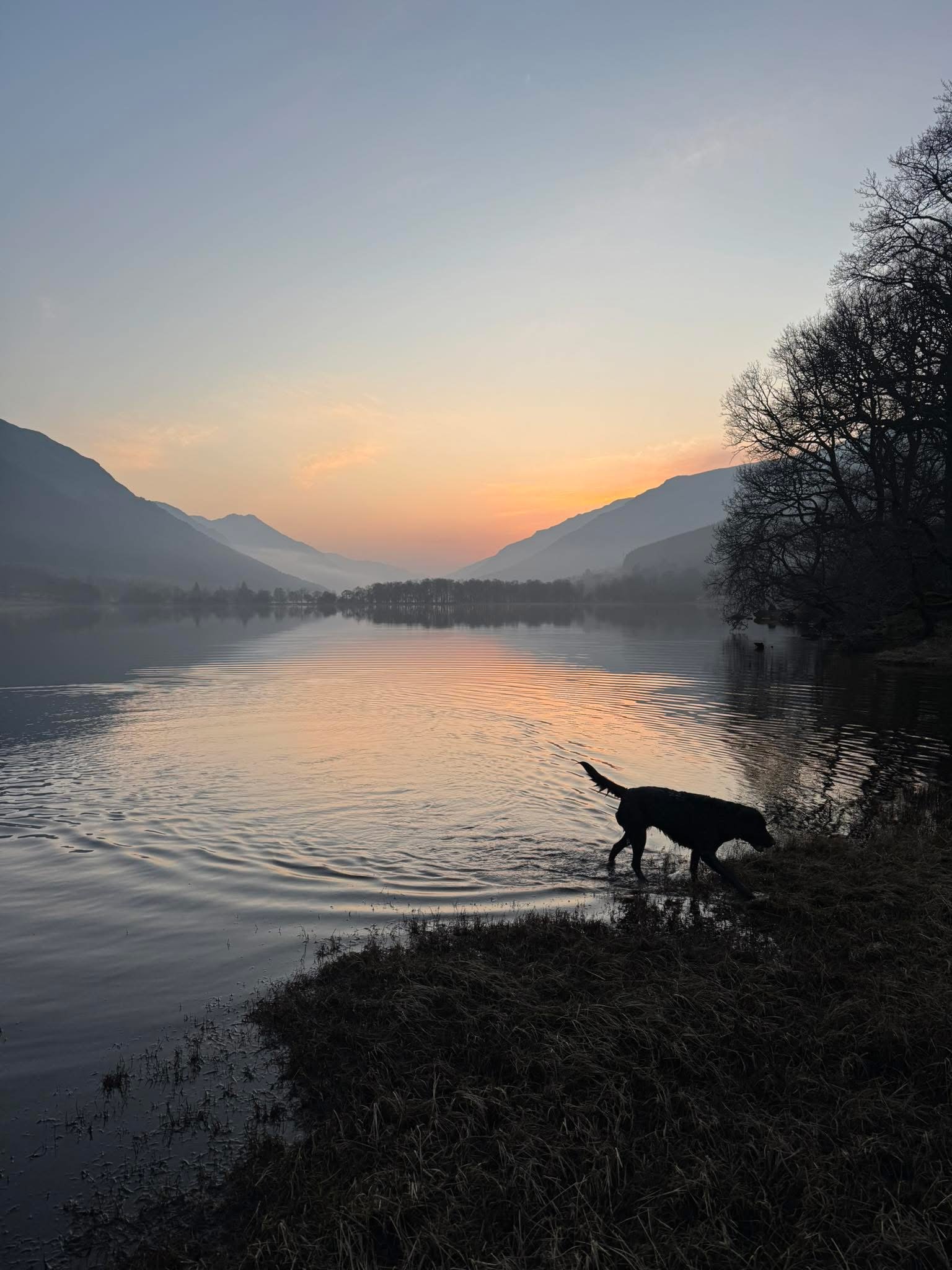 Couples Therapy Works With Patterns, Not Content