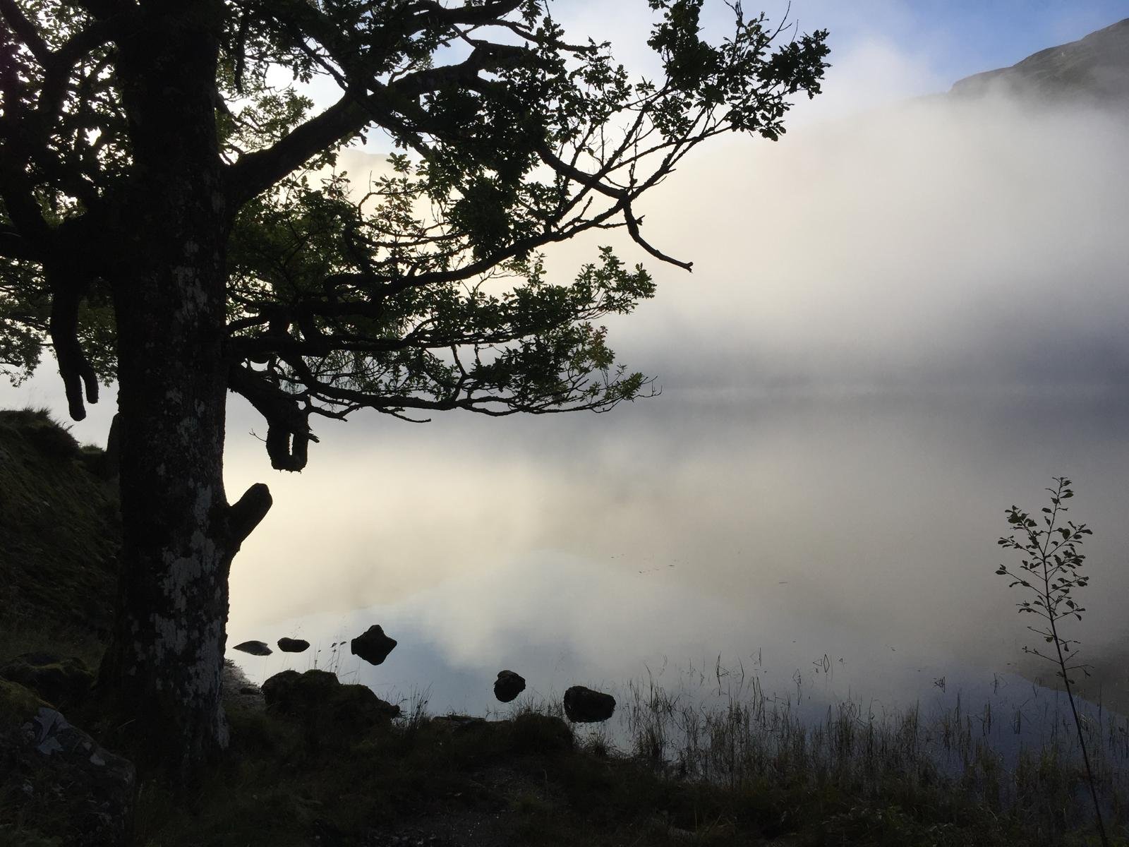 Doing the Reps: Why Consistency Matters in Couples Therapy