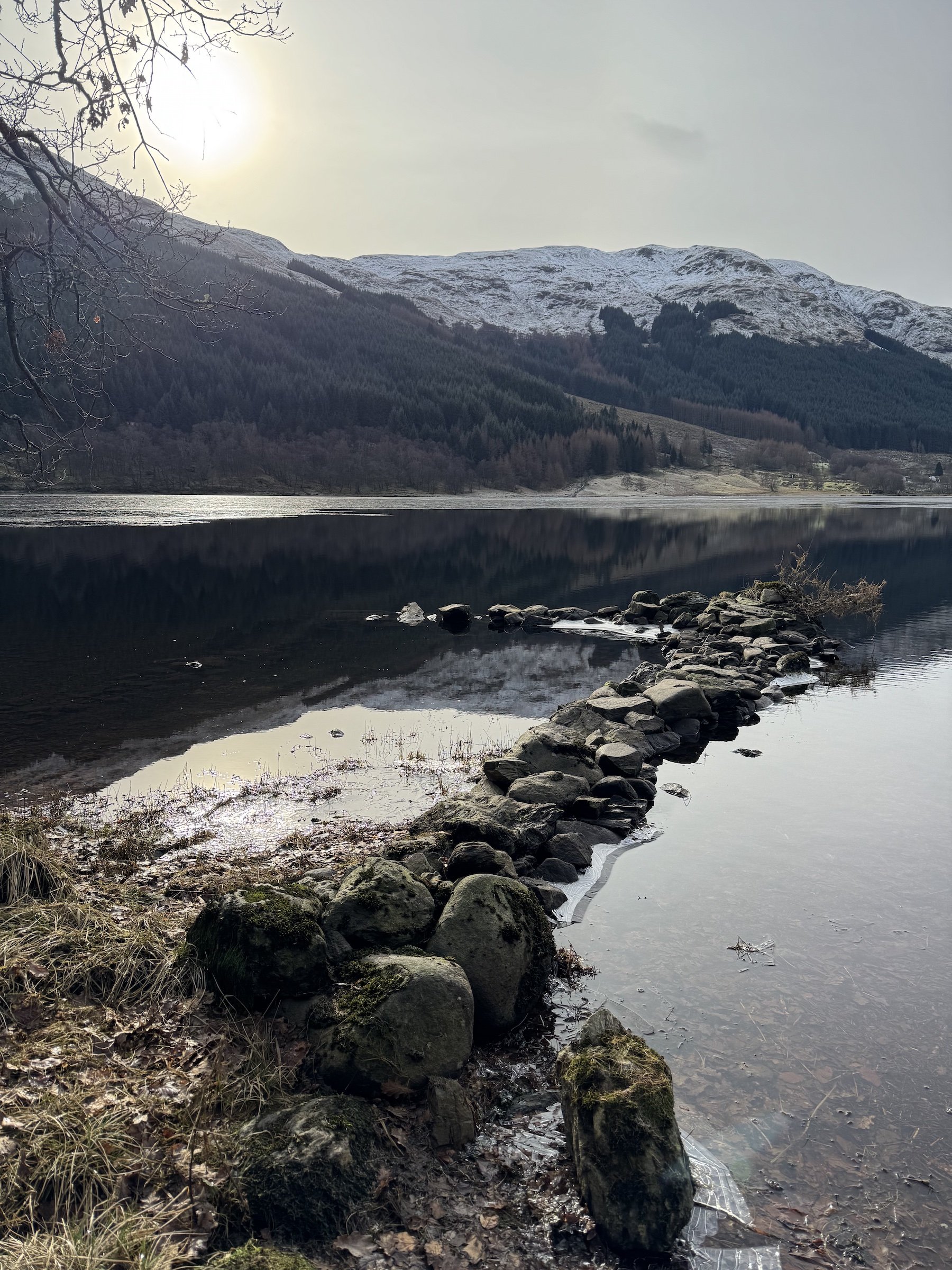 Therapy as Alchemy: Turning Disconnection into Connection