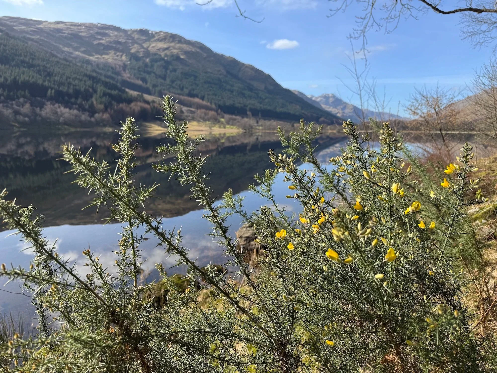 Understanding Children’s Behaviour: A Nervous System and Attachment Perspective