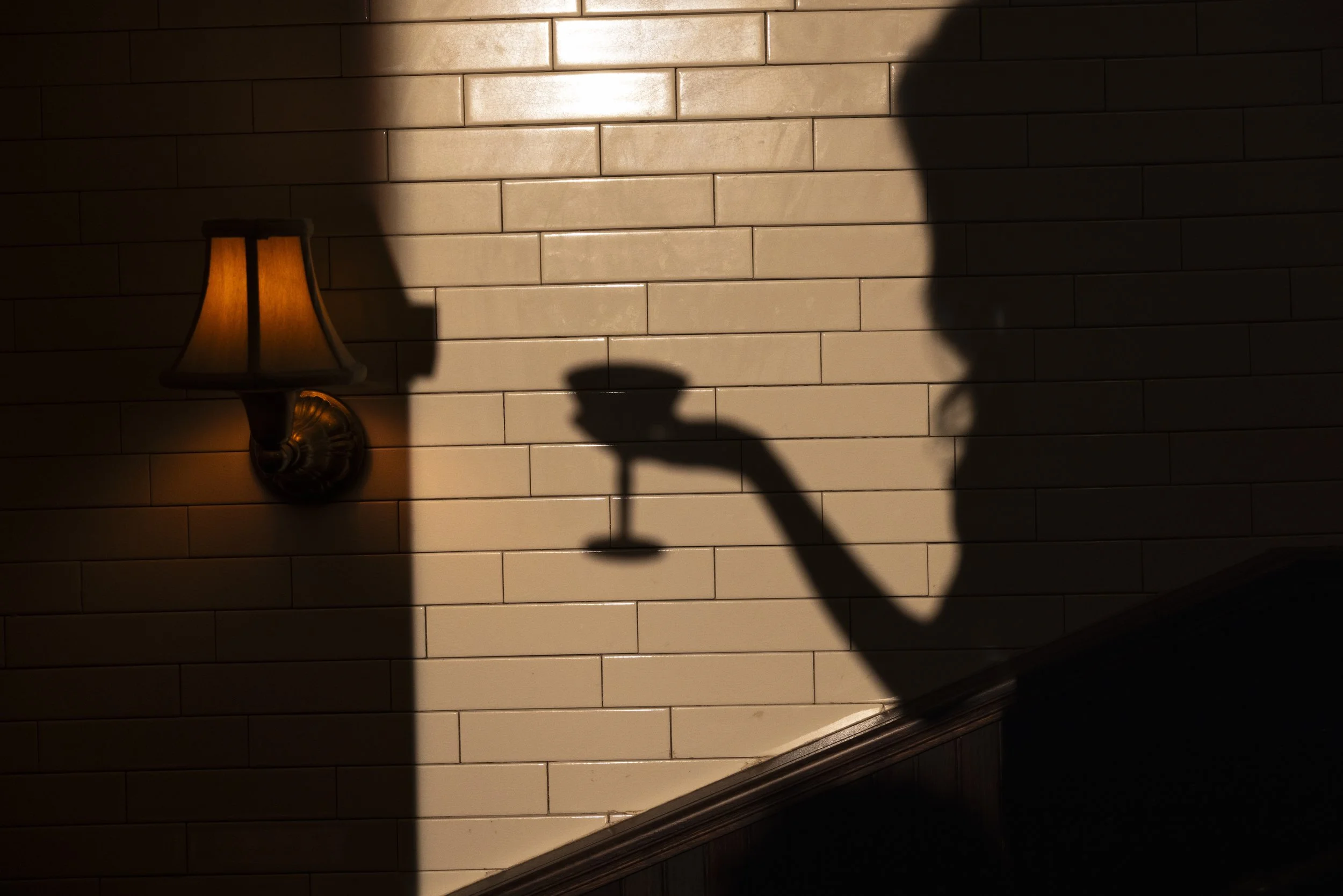 Shadow of a person holding a wine glass on a tiled wall illuminated by a wall lamp.