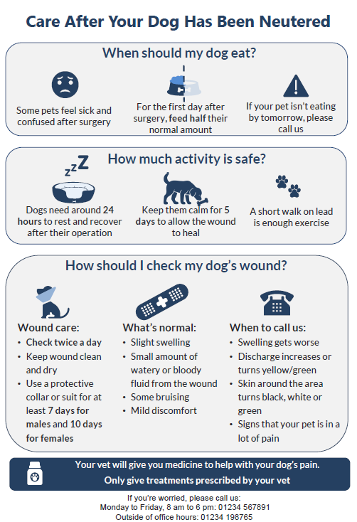 veterinary client resources