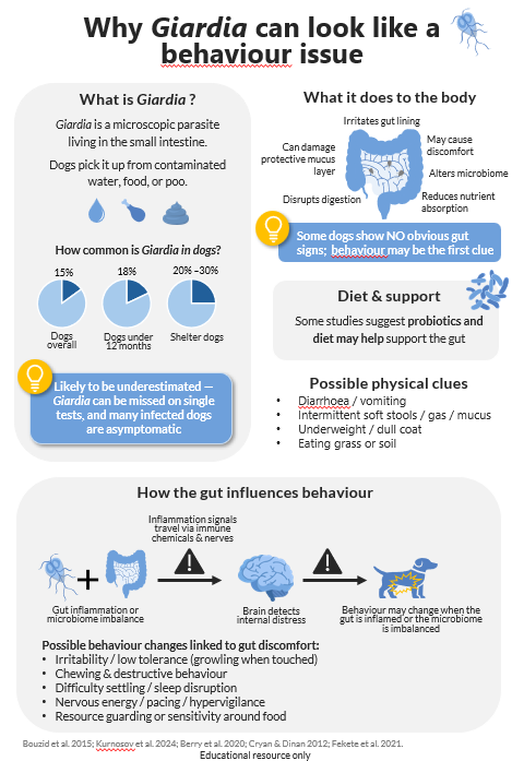 vet patient information sheet