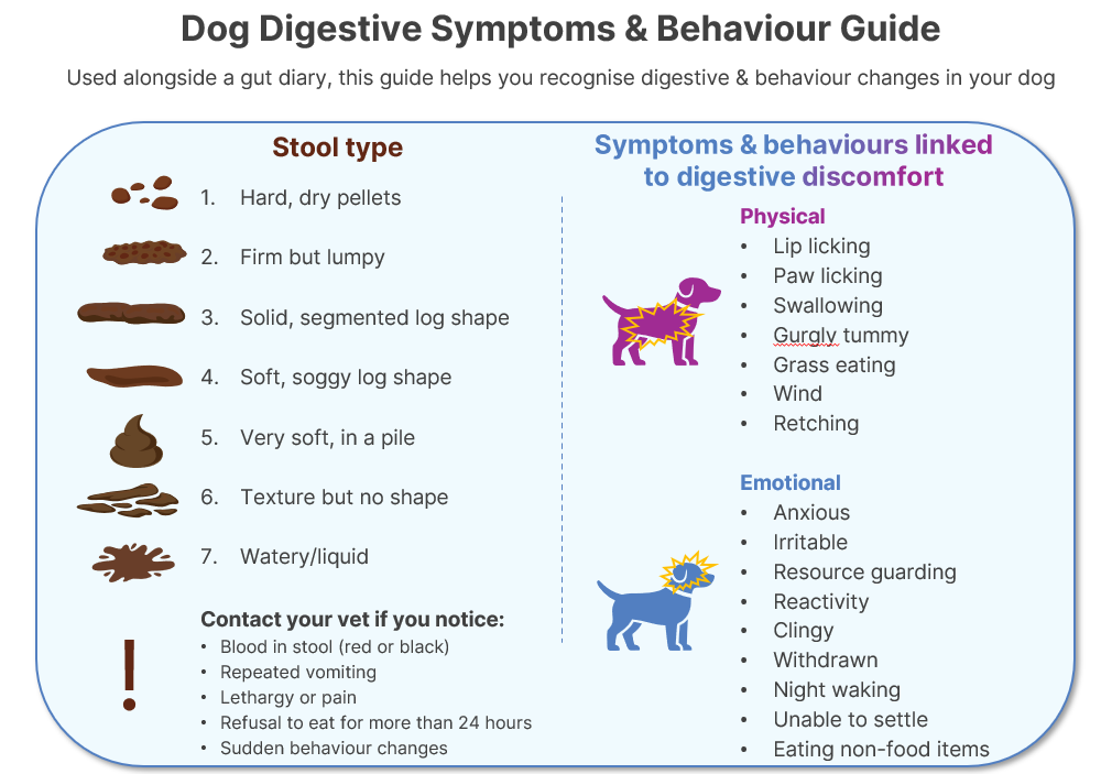 Example of Client-Focused Veterinary Communication Resource