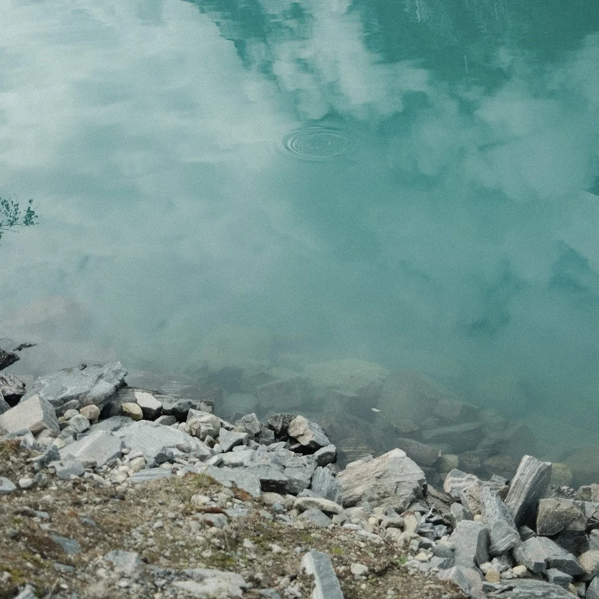 Fotograf med dokumentarisk og journalistisk stil for events, bryllup og corporate oppdrag i Arktis og Nord-Norge. Med erfaring fra Bodø, Tromsø, Lofoten og Nordland leveres bilder som forteller troverdige historier.