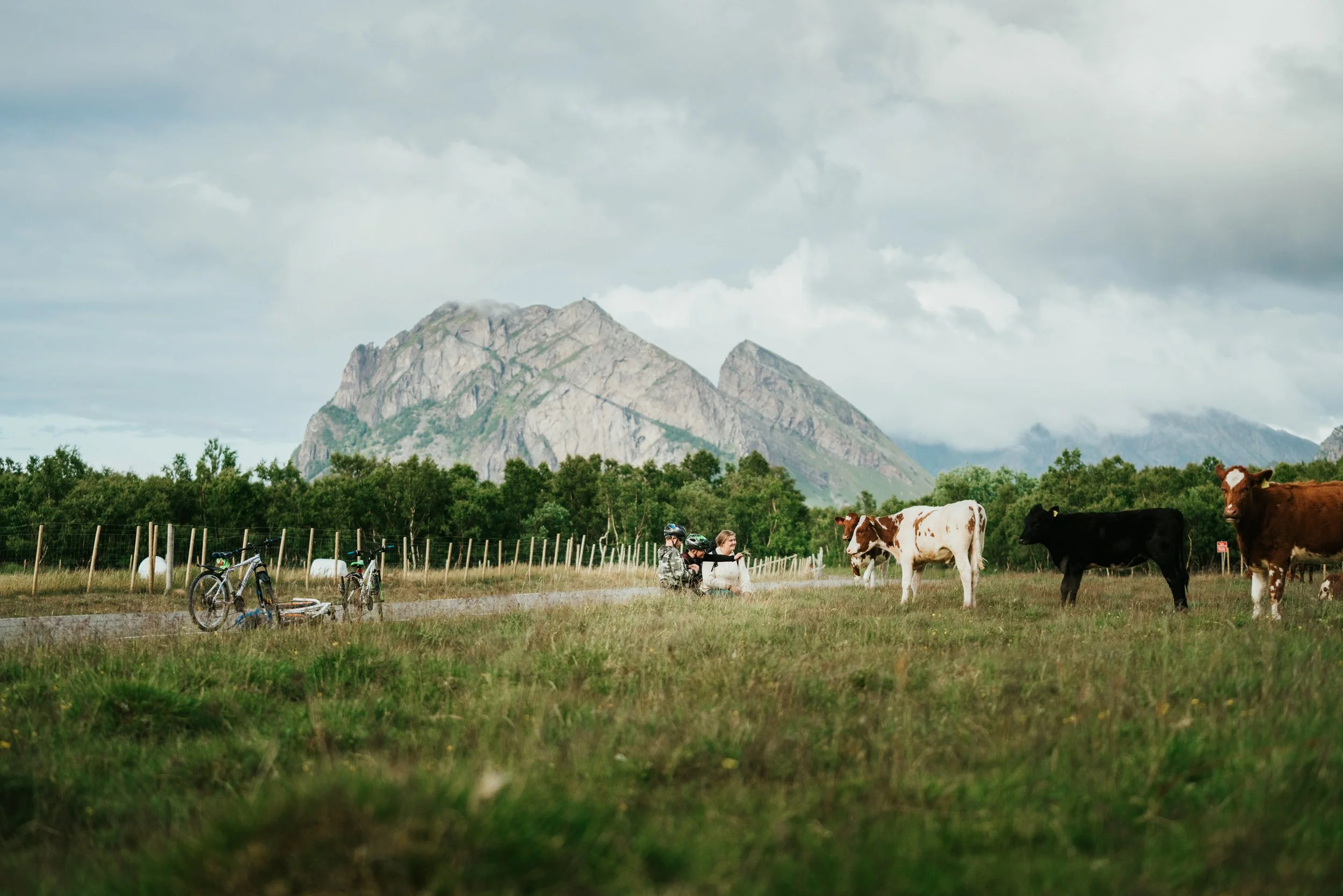 Reklamefotograf i Bodø og Nord-Norge – profesjonelt bilde for bedrift av Fredrik Stenbro