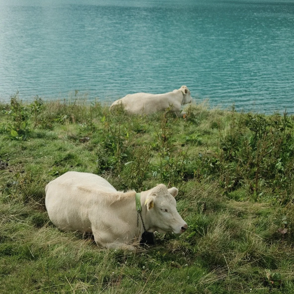 Documentary photographer in Northern Norway, working with journalism, magazines, events, weddings, and corporate photography. The images are captured in Bodø, Tromsø, Lofoten, and across Nordland, focusing on authentic moments and everyday life.