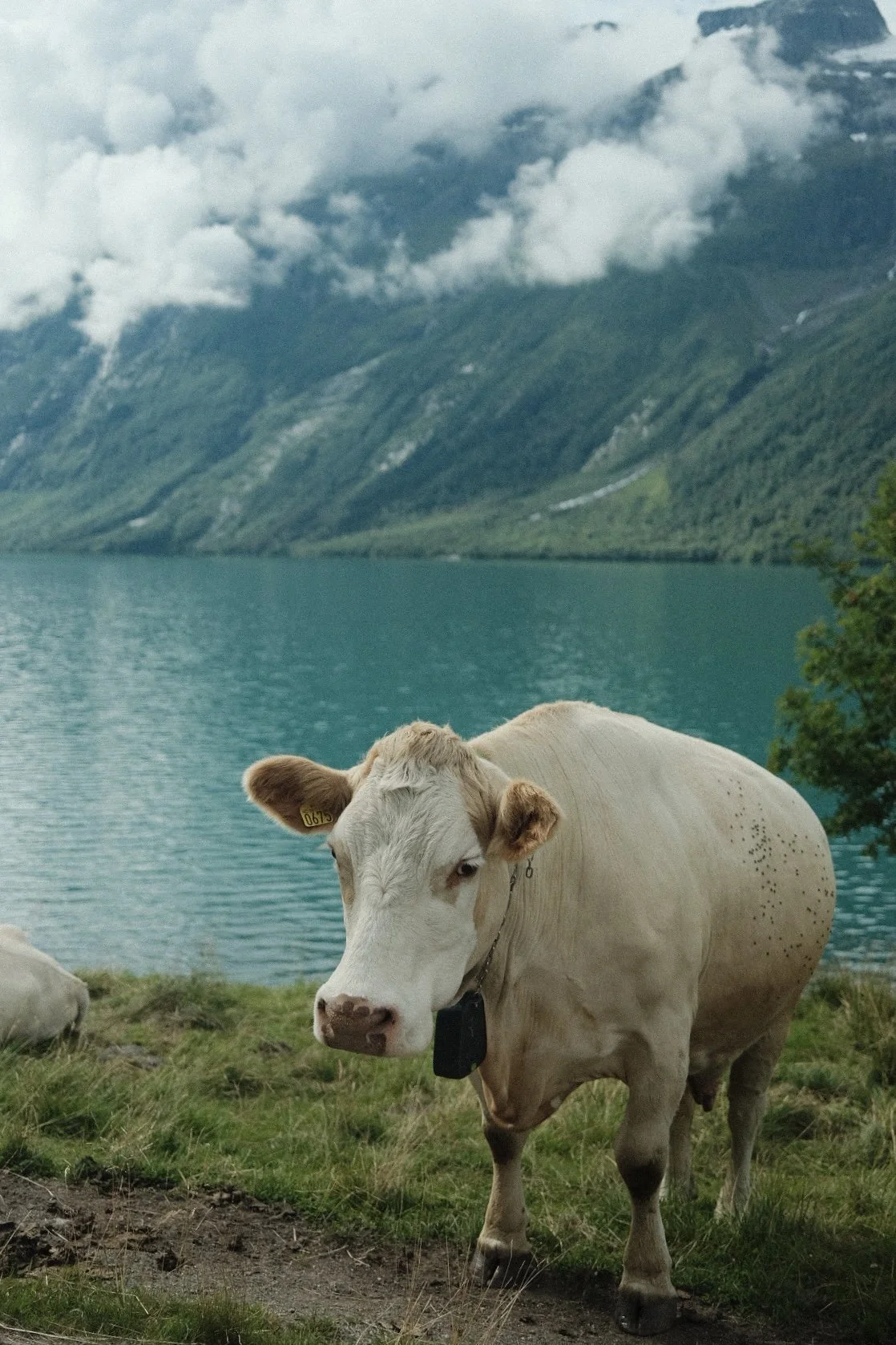 Fotograf med bakgrunn i journalistikk og redaksjonelt arbeid for magasiner, virksomheter og organisasjoner. Dokumentarisk foto produsert i Nord-Norge og Arktis, med prosjekter i Bodø, Tromsø, Lofoten og Nordland.