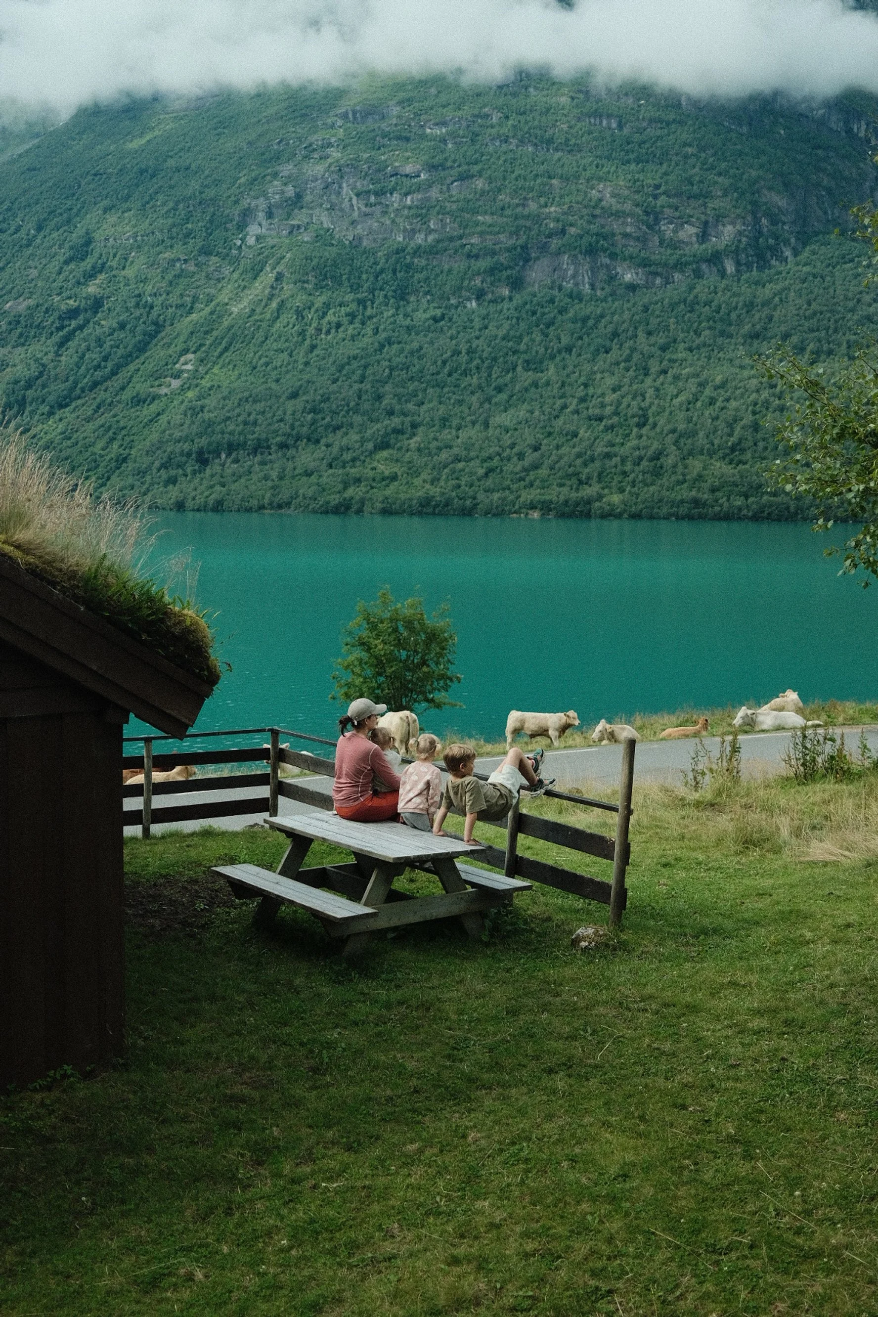 Dokumentarisk fotograf i Nord-Norge med oppdrag innen journalistikk, magasiner, events, bryllup og corporate foto. Bildene er tatt i Bodø, Tromsø, Lofoten og Nordland, med fokus på ekte øyeblikk, mennesker og arktisk hverdagsliv.