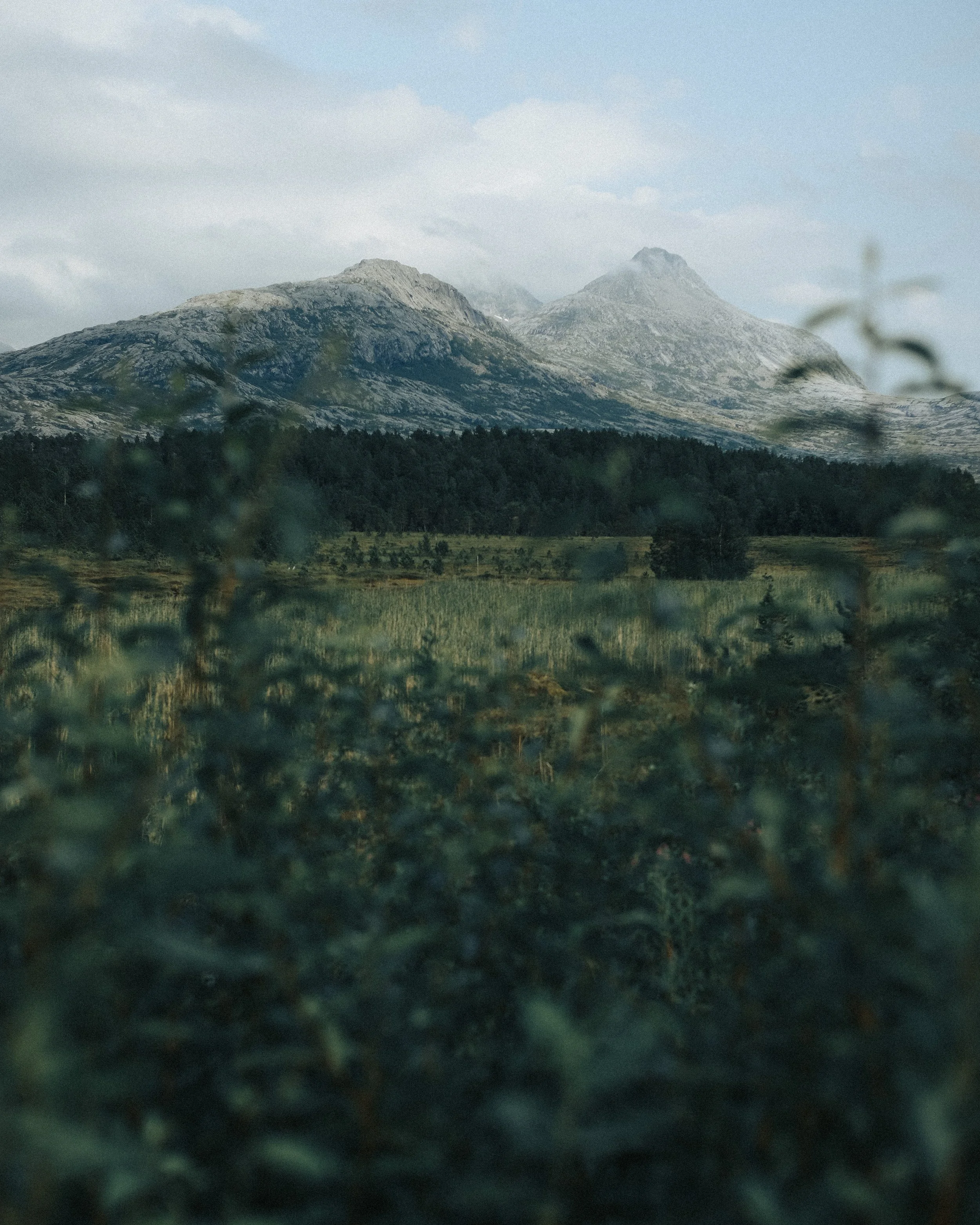 Photographer with a documentary and journalistic style, covering events, weddings, and corporate assignments in the Arctic and Northern Norway. Experience from Bodø, Tromsø, Lofoten, and the Nordland region.