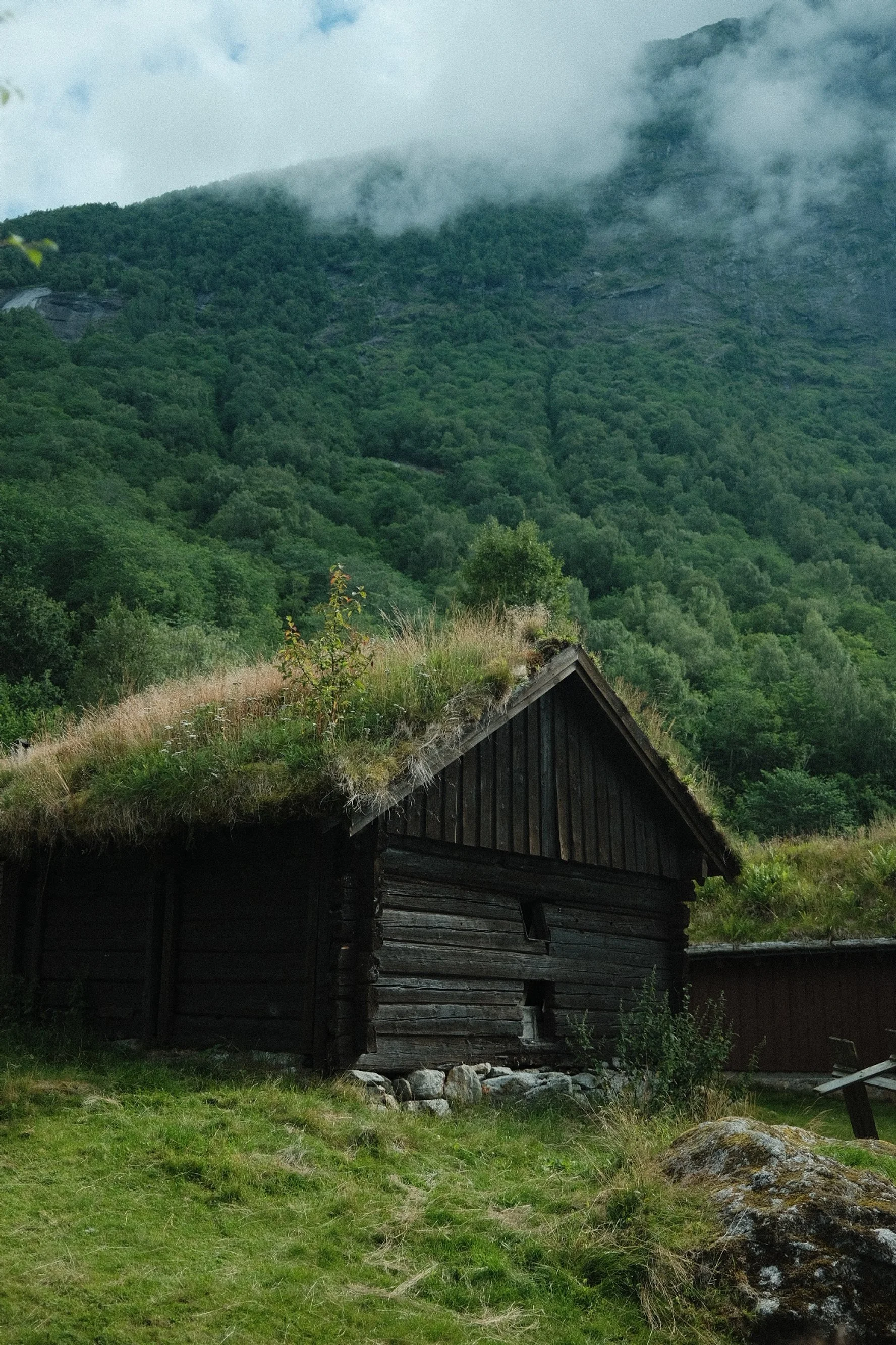 Fotograf med dokumentarisk og journalistisk stil for events, bryllup og corporate oppdrag i Arktis og Nord-Norge. Med erfaring fra Bodø, Tromsø, Lofoten og Nordland leveres bilder som forteller troverdige historier.