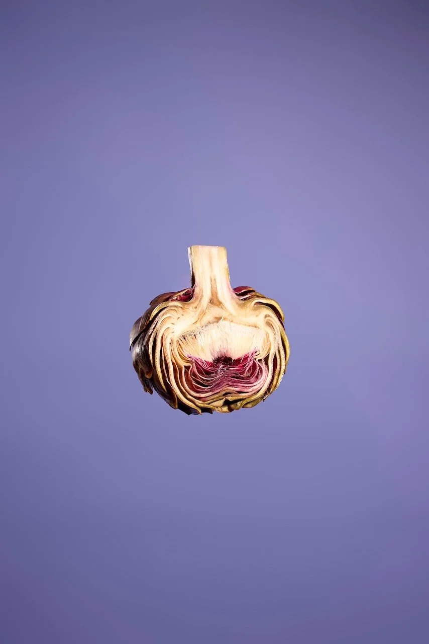 _APT3481 1-Stefan-Mayerhofer.jpg