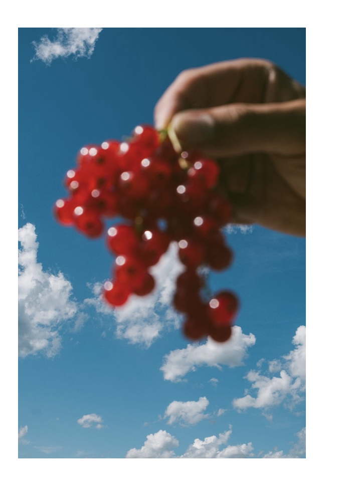 Bildschirmfoto 2026-01-22 um 14.27.18.png