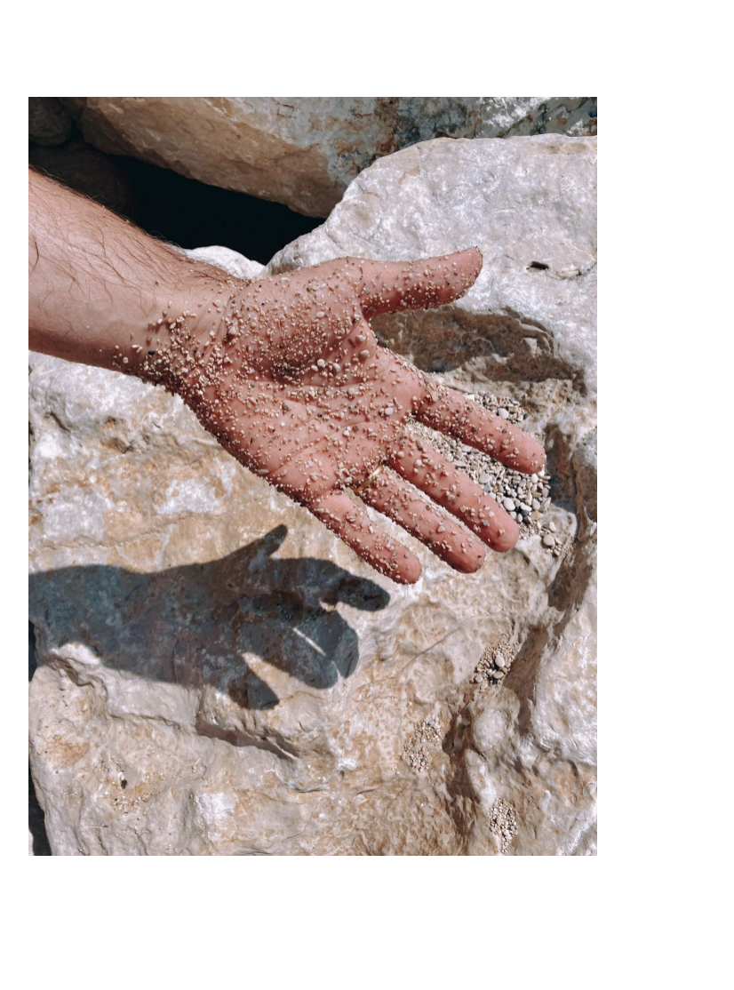 Bildschirmfoto 2026-01-22 um 14.18.19.png