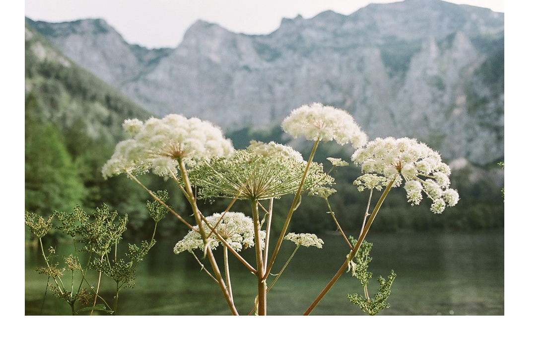 Bildschirmfoto 2026-01-22 um 14.27.25.png