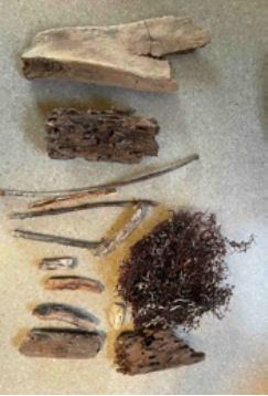 Driftwood2.png