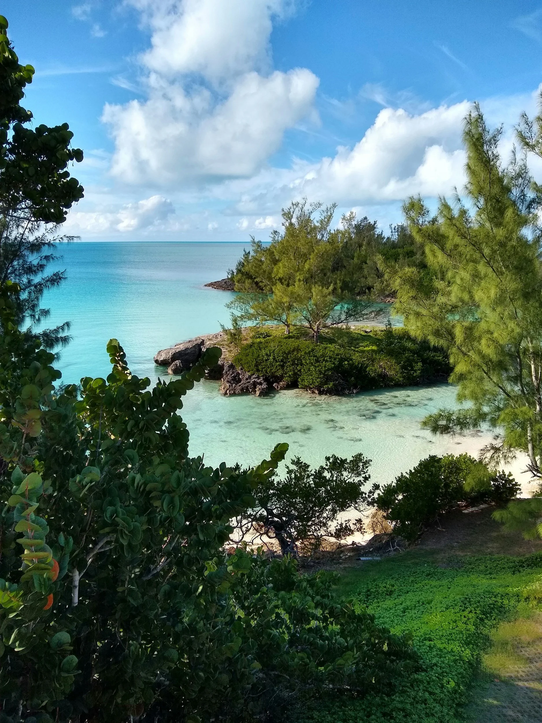 Bermuda's Wild Plants & Herbs Tour and Tasting