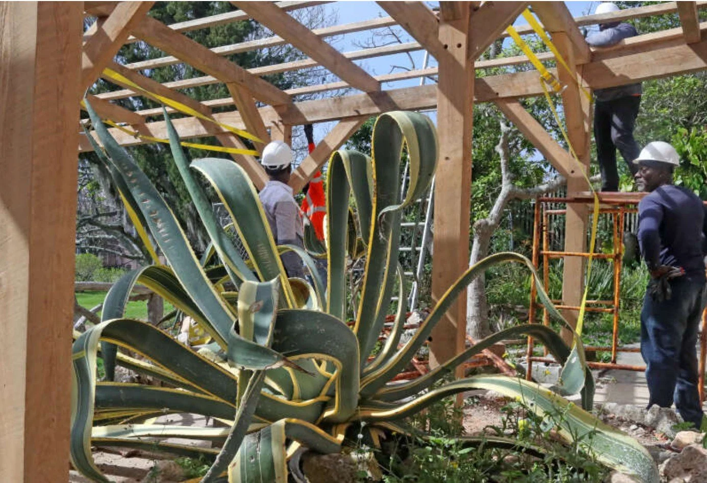 Succulent building taking shape at Botanical Gardens