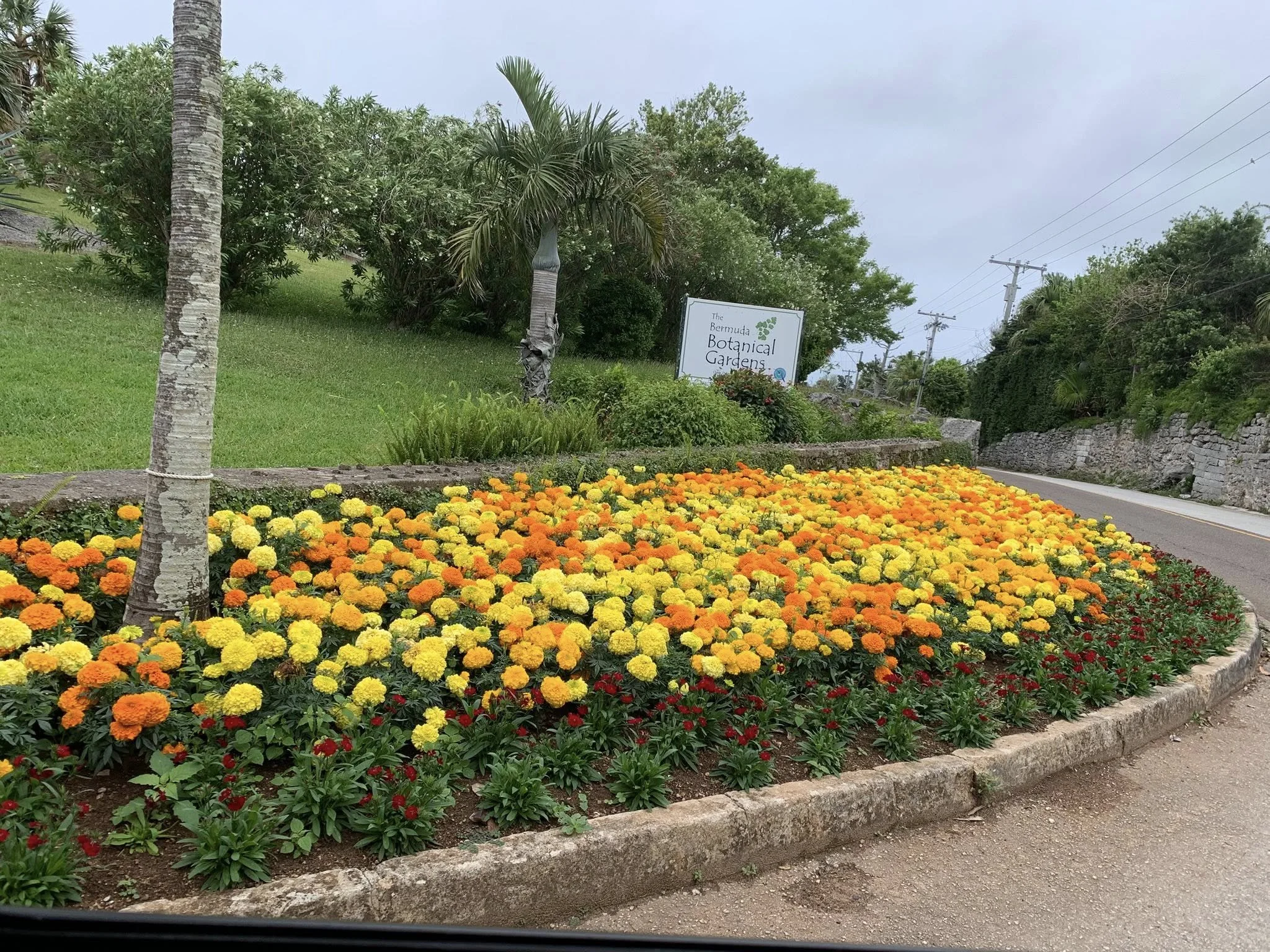 Out &amp; About in the Botanical Gardens