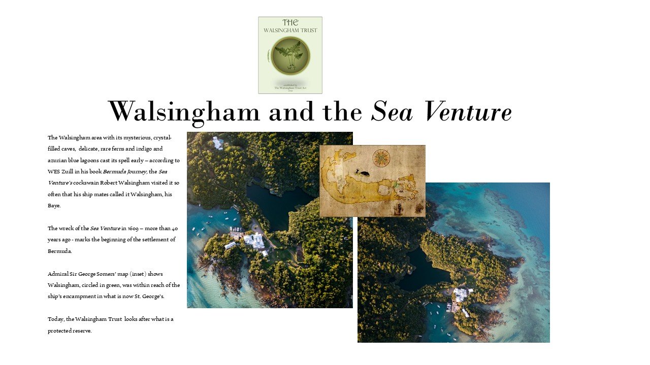 Slide2.JPG
