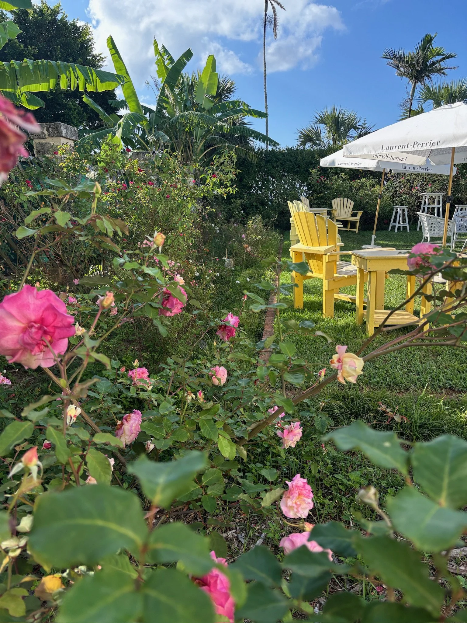 A garden scene with pink roses in the foreground, yellow Adirondack chairs, and a white patio umbrella with Louis Vuitton branding. The background features tropical plants, green grass, and a partly cloudy blue sky.
