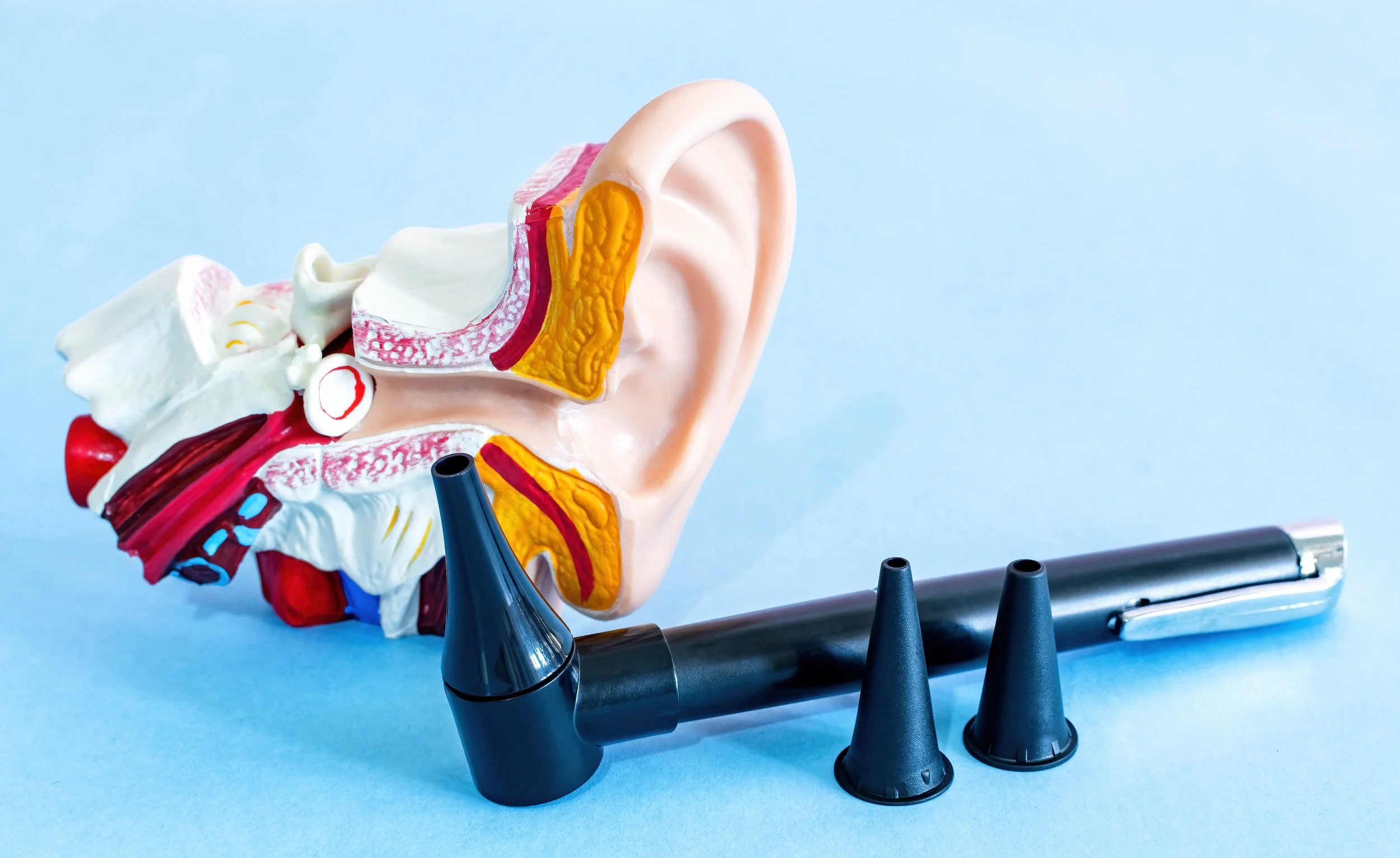 A model of the human ear with a stethoscope and three black earplugs on a light blue background.