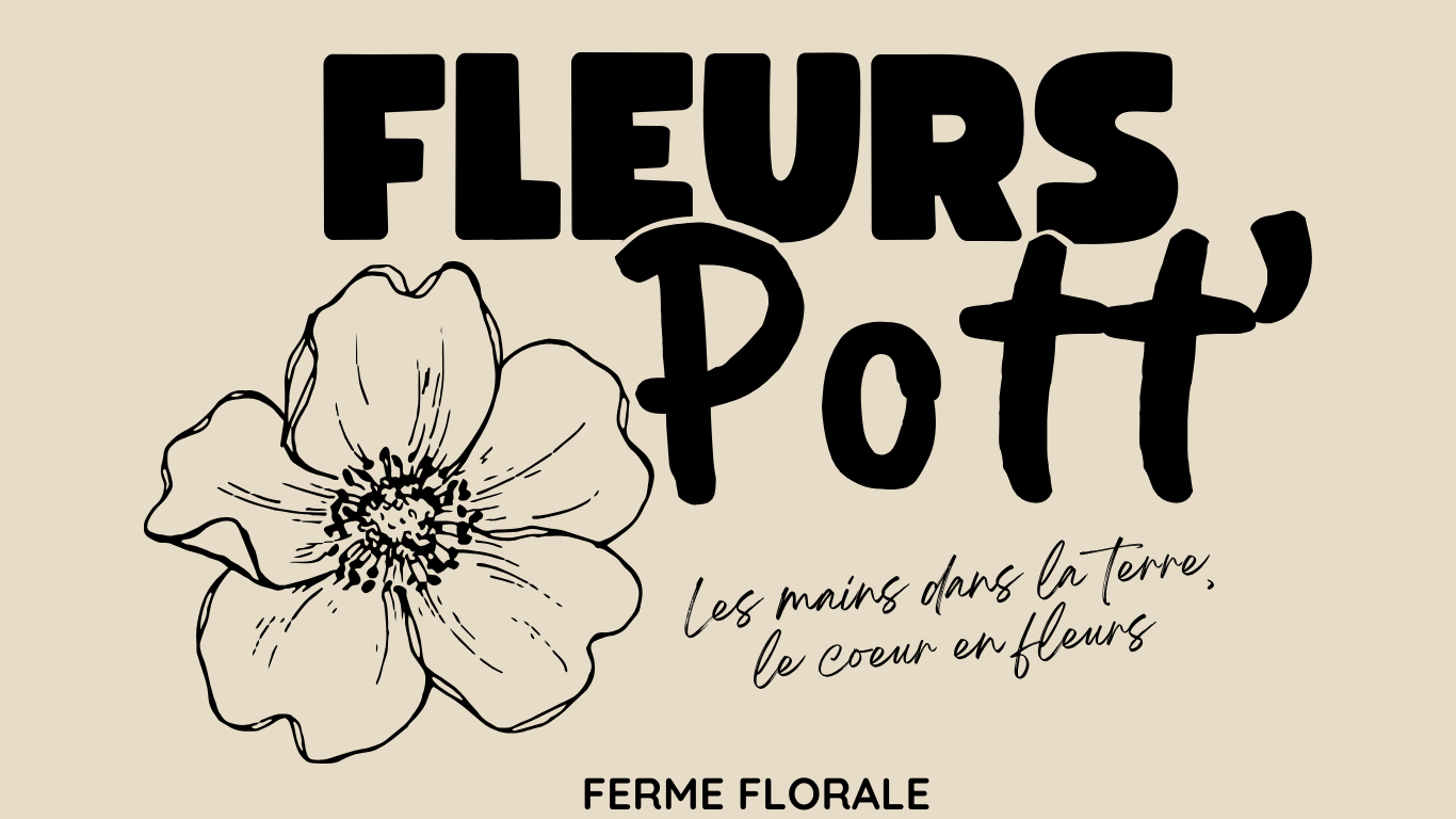 Logo de la ferme florale 'Fleurs Pott', avec une illustration d'une fleur en noir et blanc et le slogan 'Les mains dans la Terre, le cœur en fleurs', sur un fond beige.