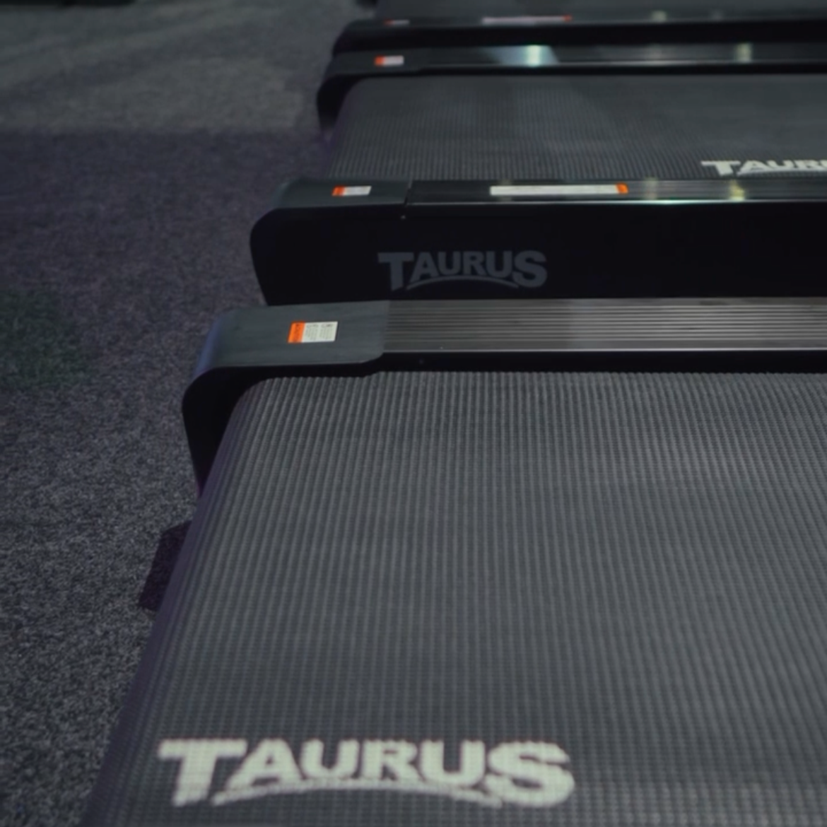 Multiple black treadmills with the word "TAURUS" on the front, parked on a carpetl surface.