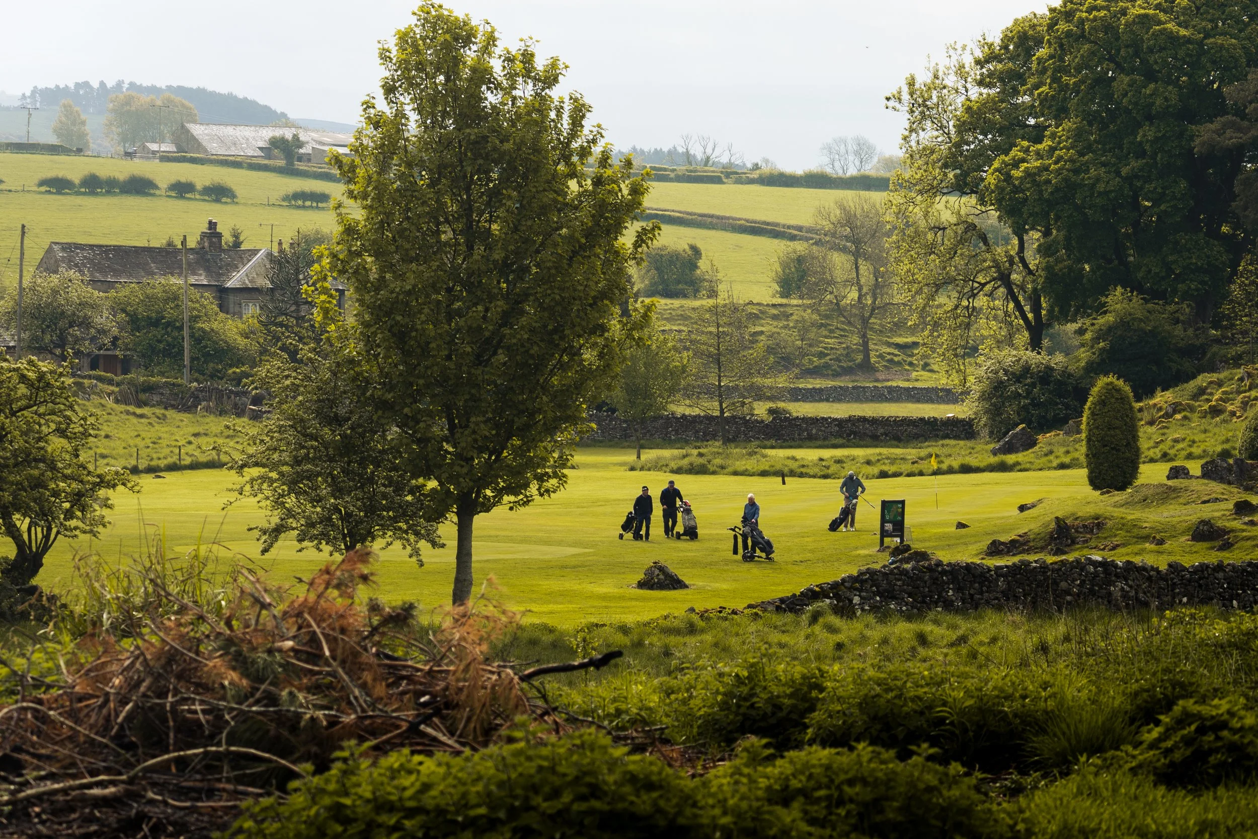 Golf course with four people playing, surrounded by trees and rolling green hills, in a countryside setting.