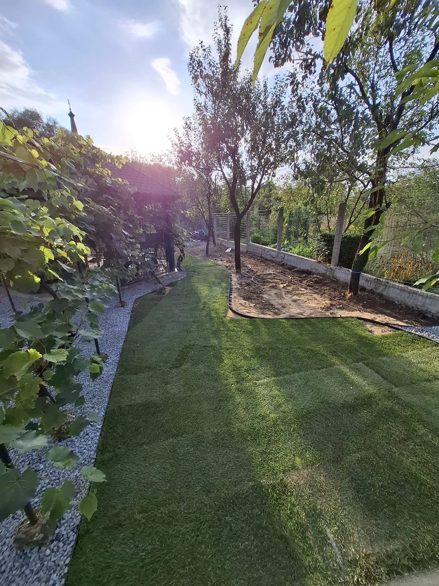 895d33e9-0697-42bc-8087-8ce059ff3e7e.jfif