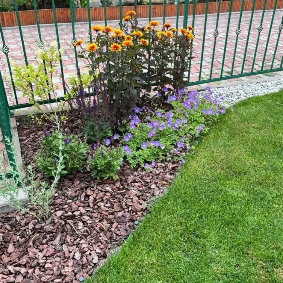 WhatsApp Image 2026-02-02 at 20.43.44 (1).jpeg