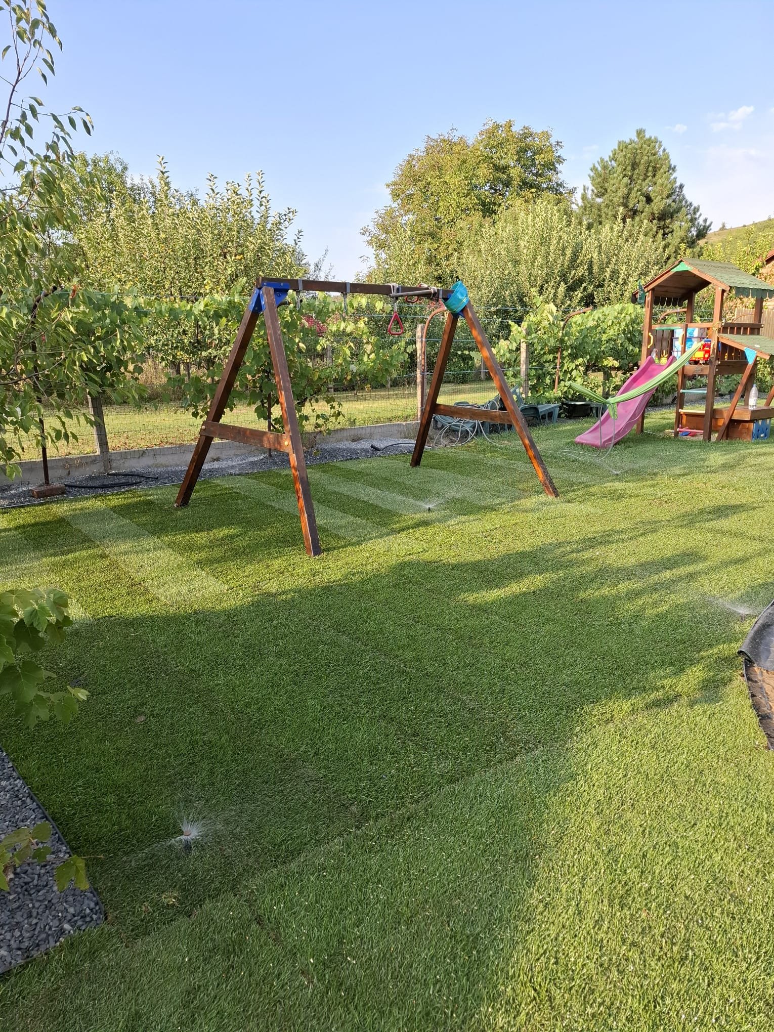 7682d5fa-43bc-44d2-81ff-df1bfcb0118d.jfif