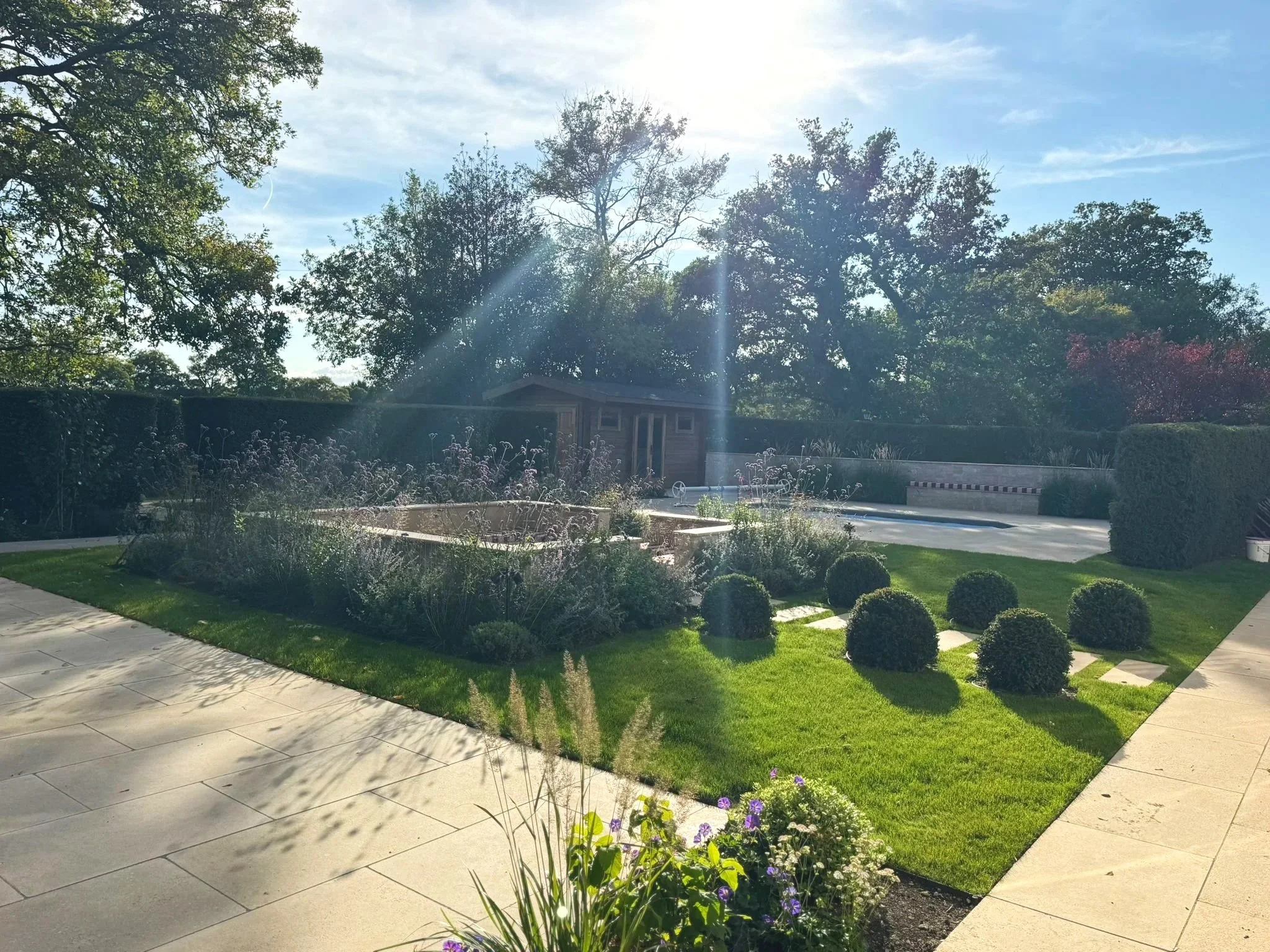 Late afternoon sun in the garden