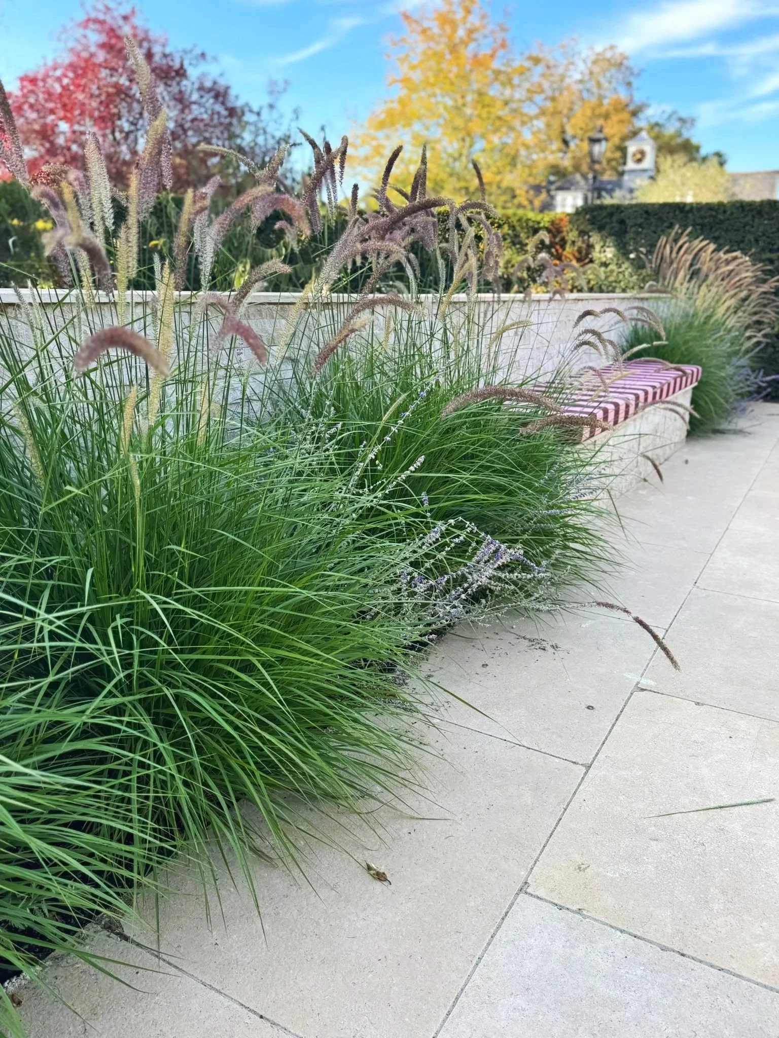 Contemporary soft grasses planted around seating area