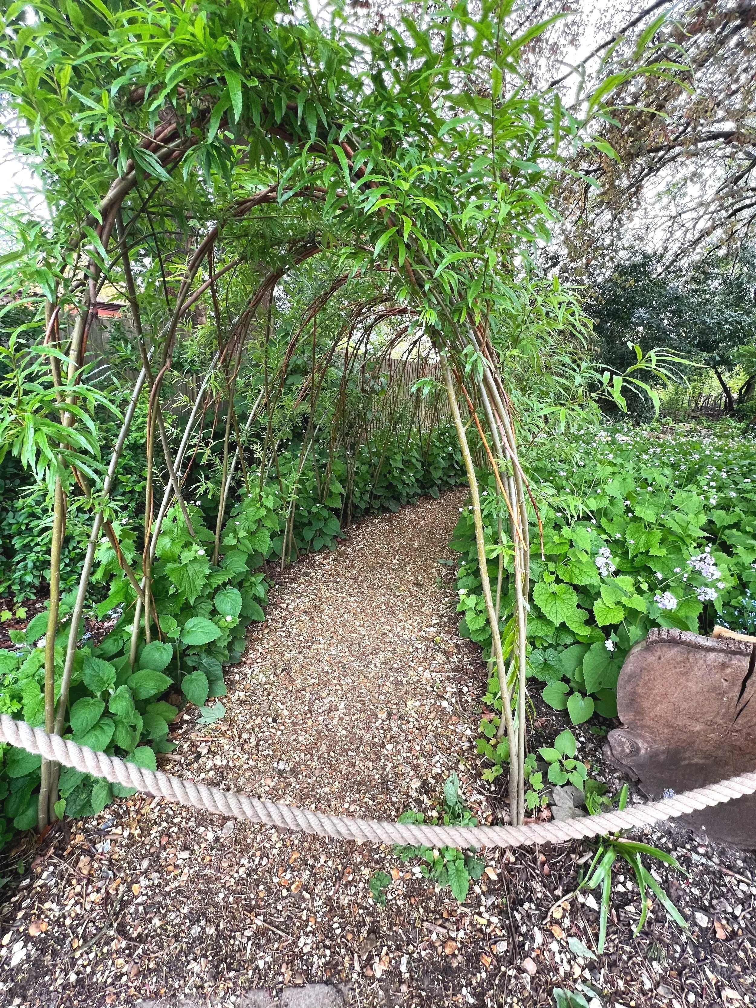Willow tunnel and log