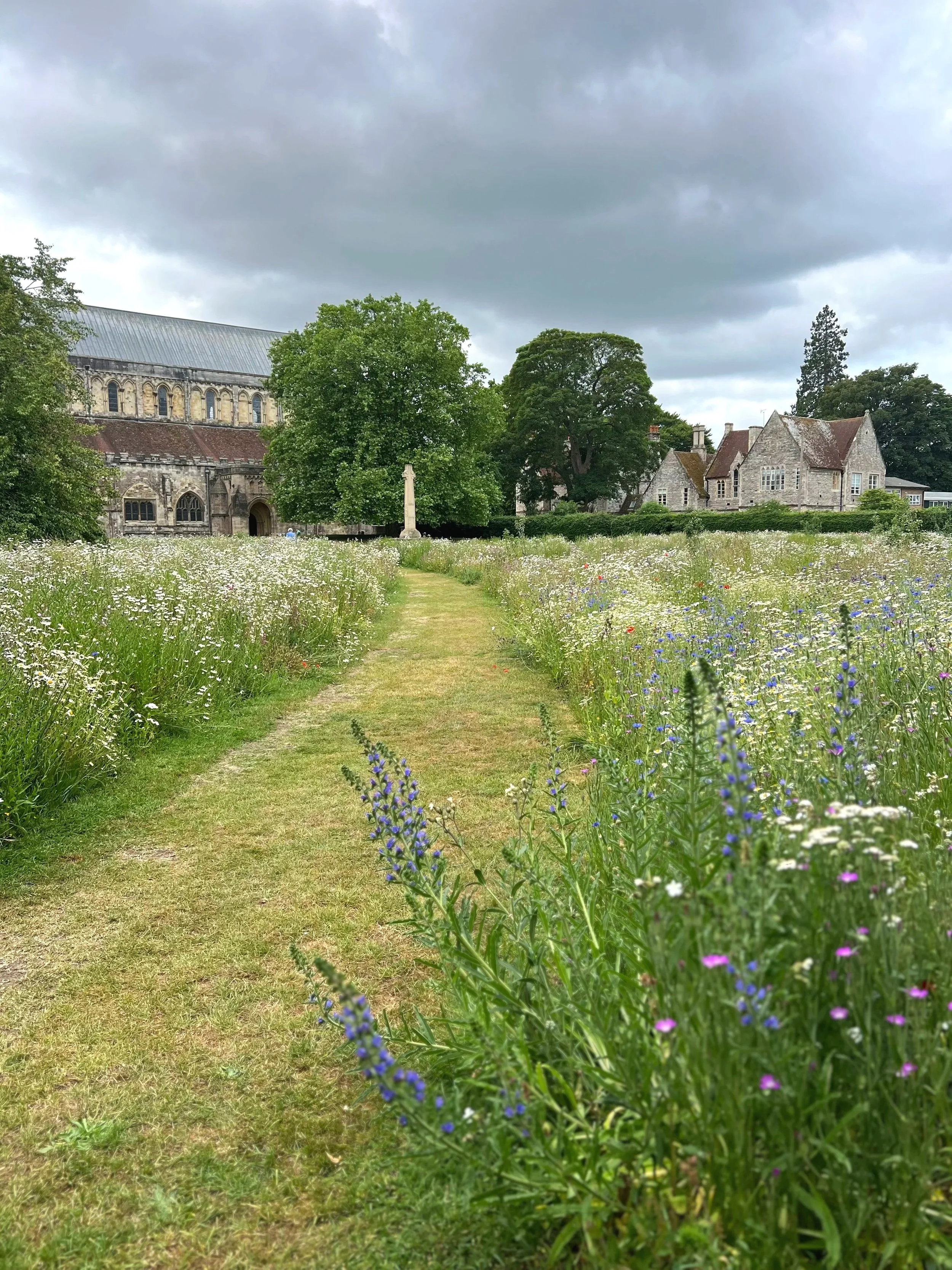 View to Romsey Abbey and primary school, along mown path through meadow