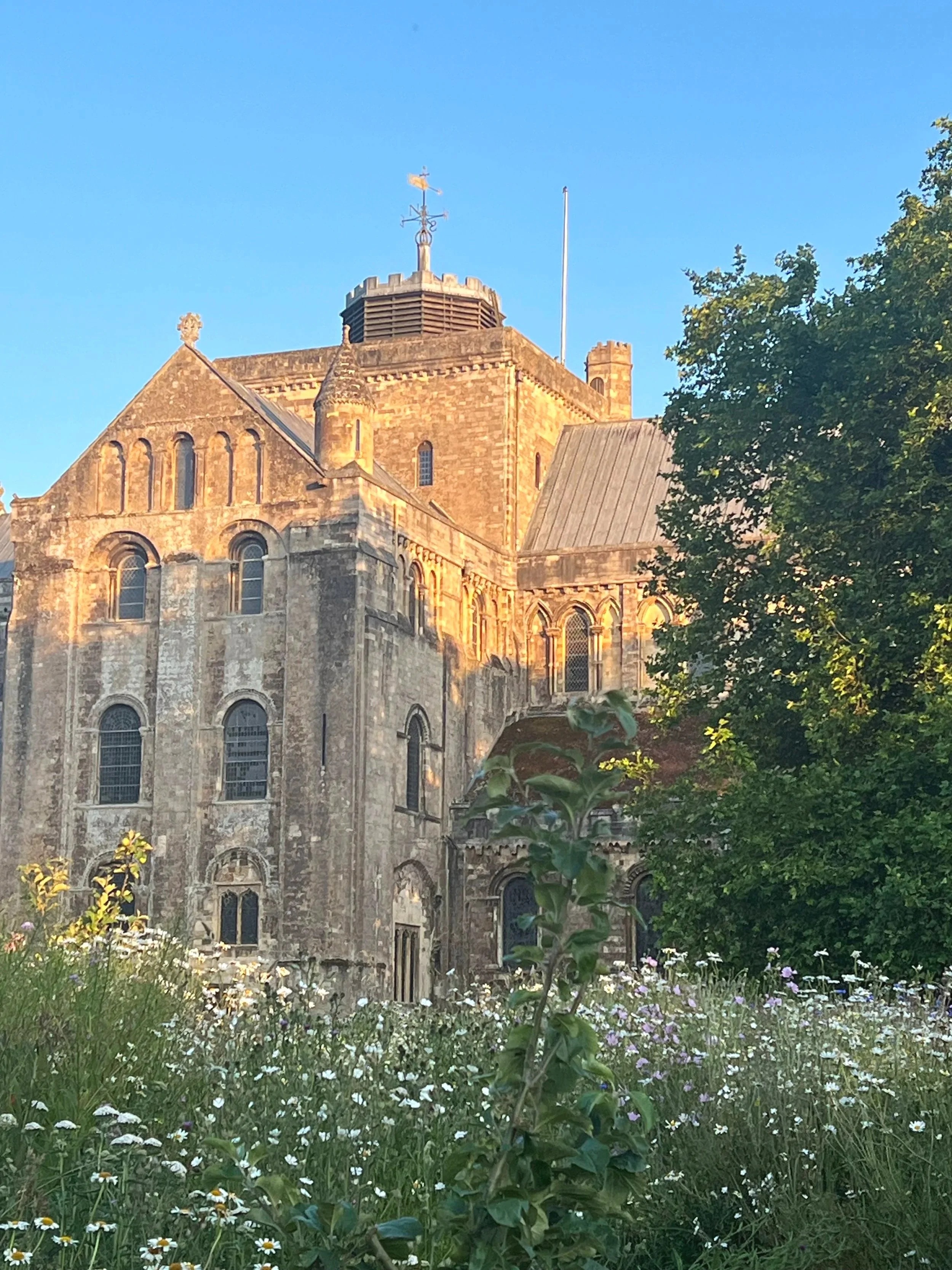 View through wildflowers to a sunlit Romsey Abbey