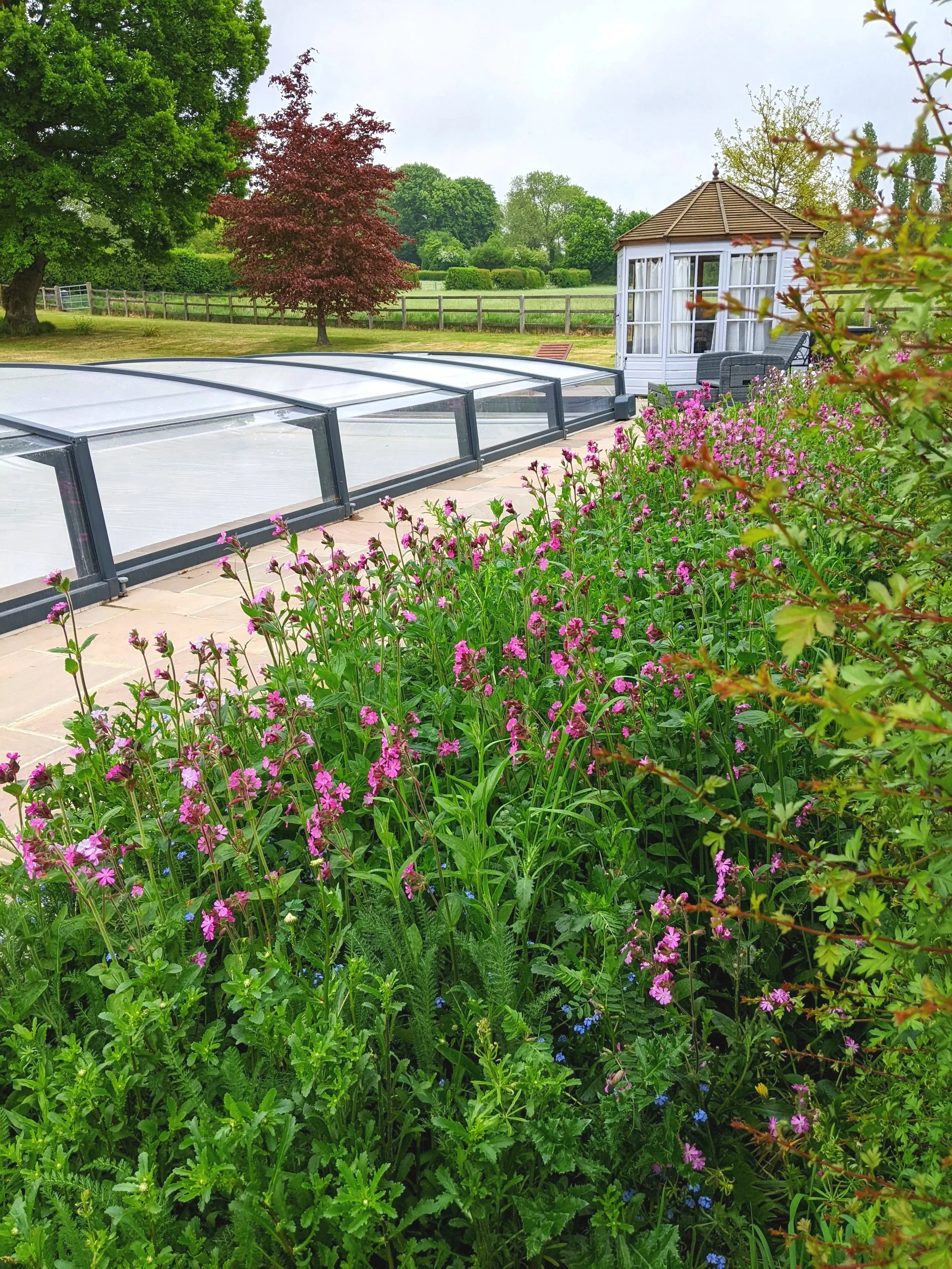Naturalistic planting next to the pool