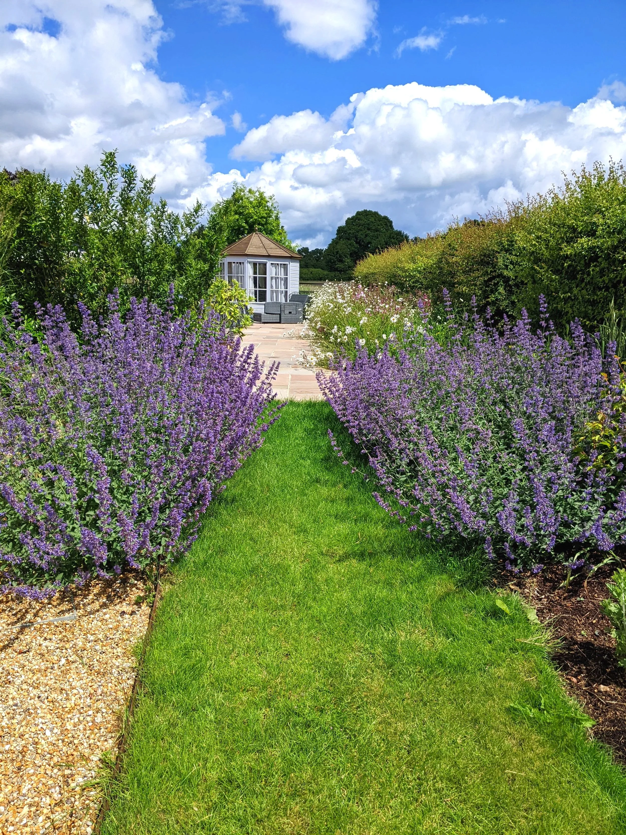 Path through planting to summer house