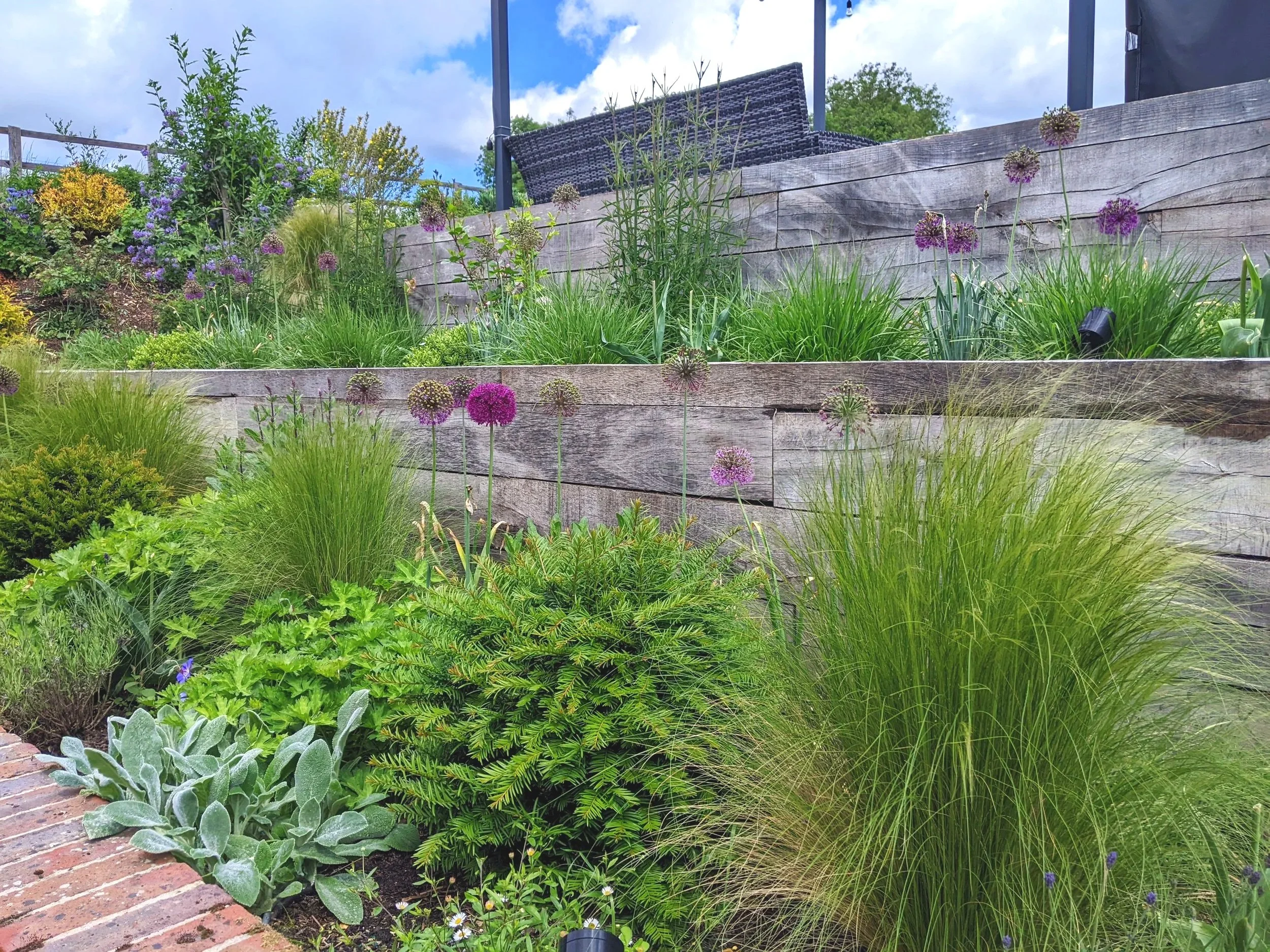 Architectural planting in raised sleeper beds around terrace