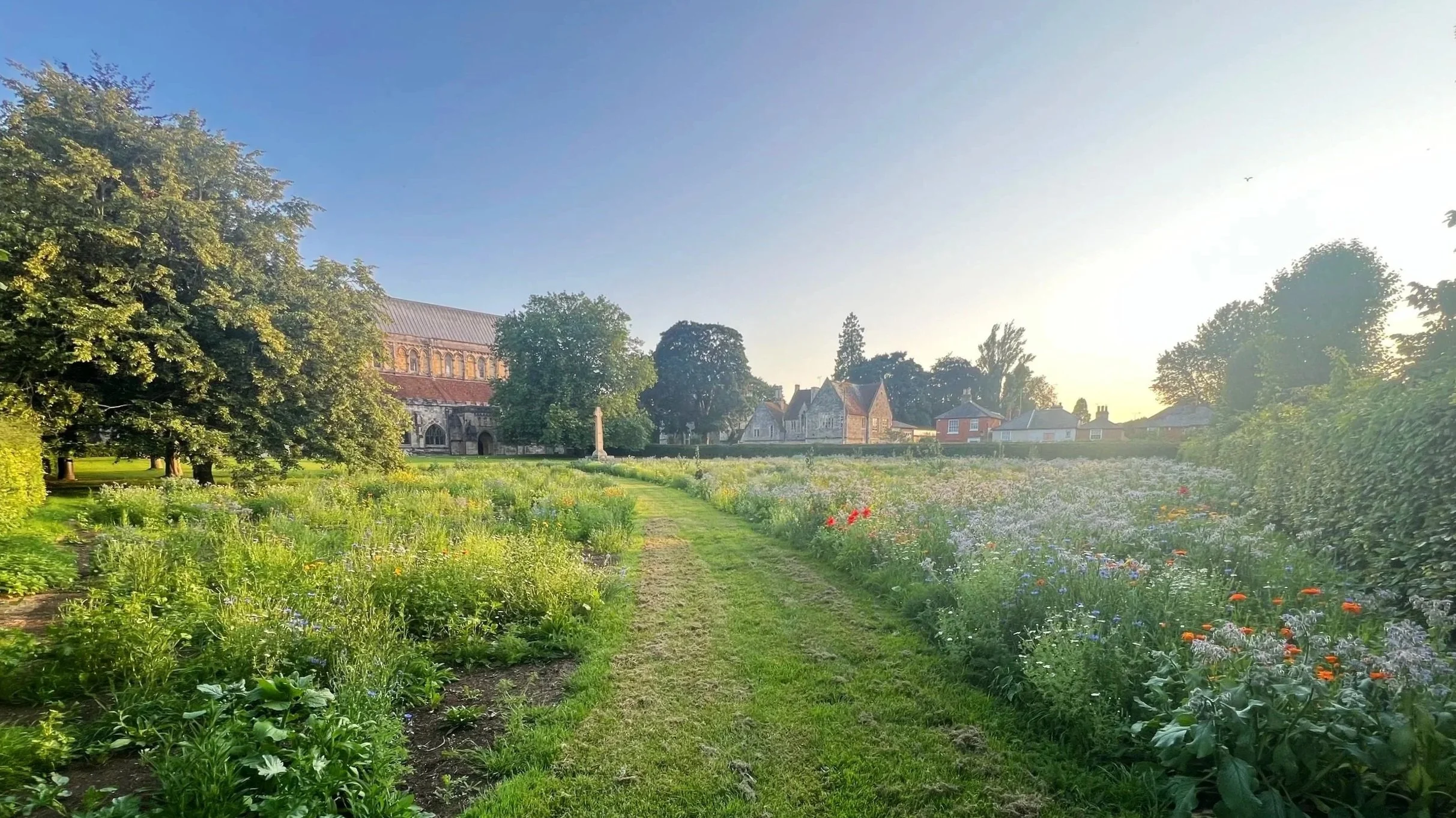 Romsey Abbey Wildflower Meadow