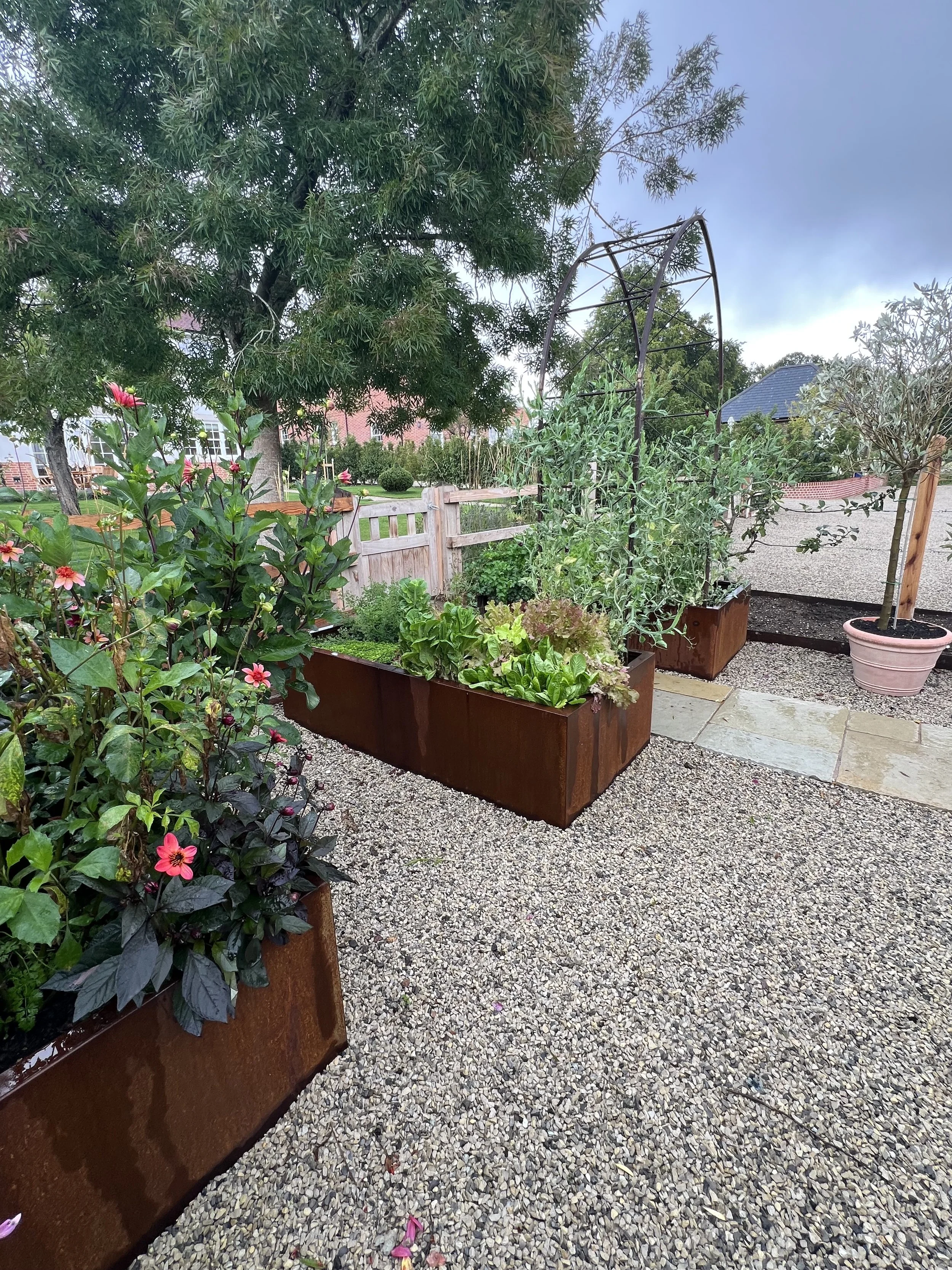 IMG_7575 - Raised veg beds.jpeg