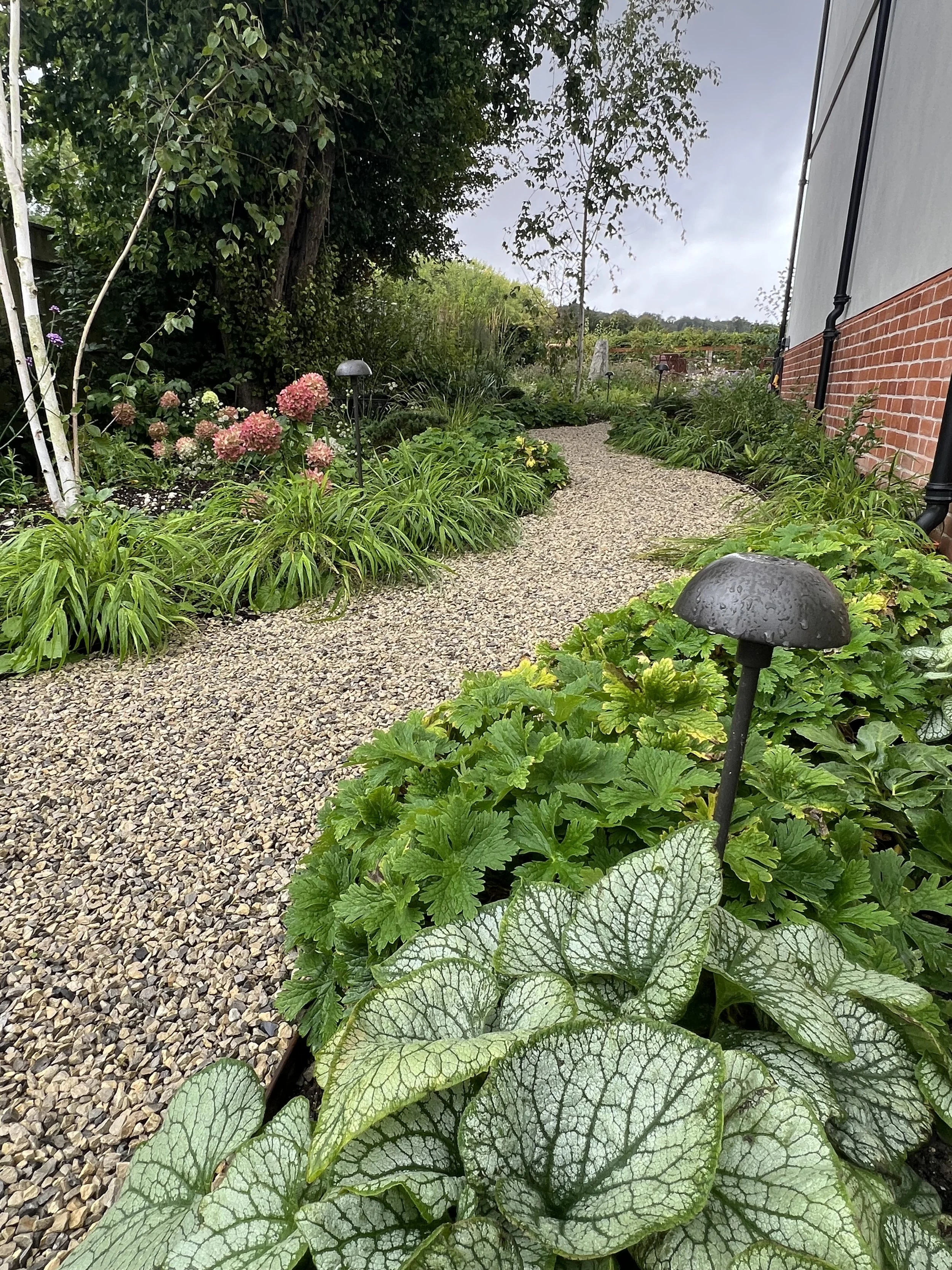 IMG_7531 - Winding path.jpeg