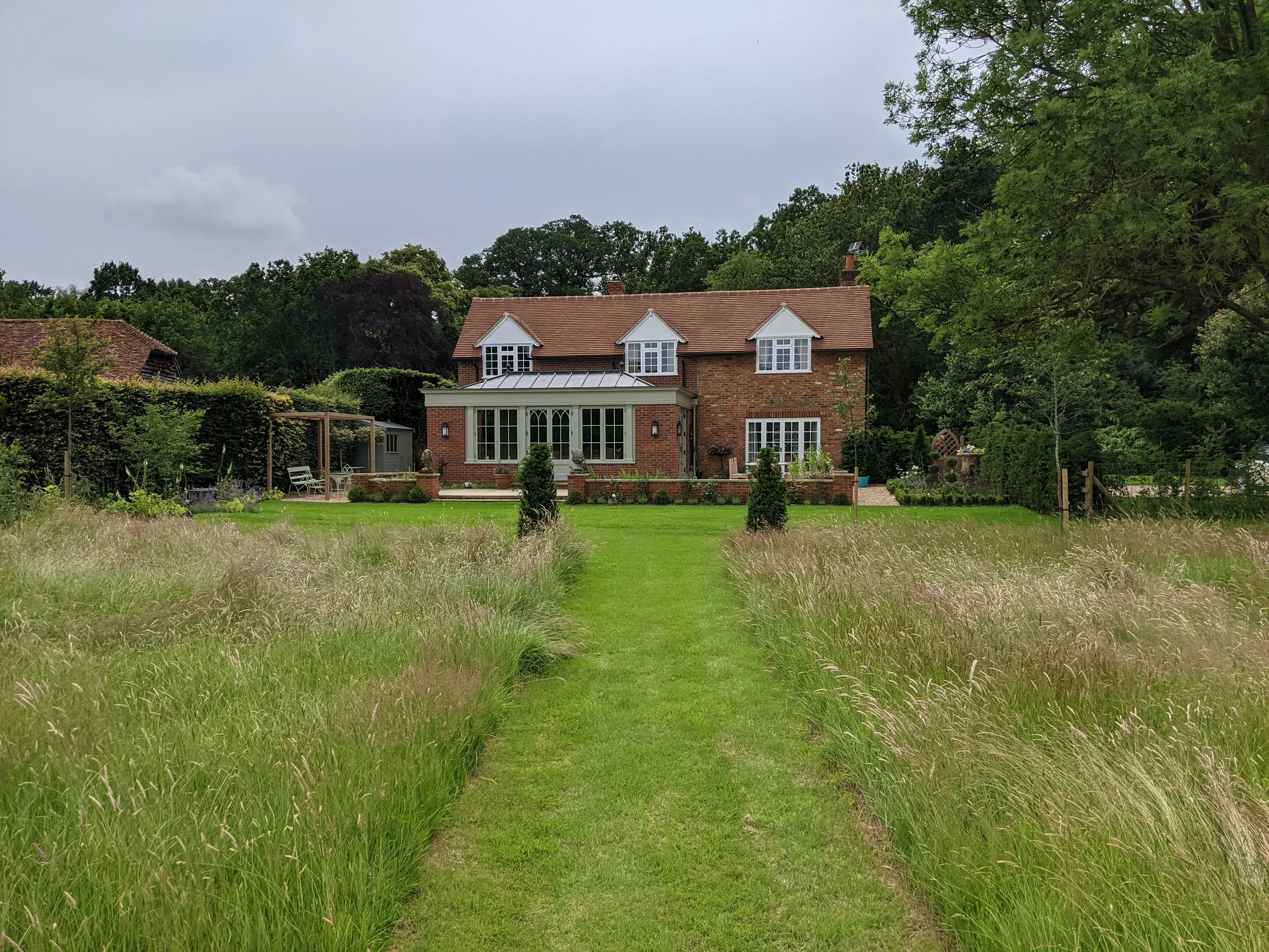 Path through long grass