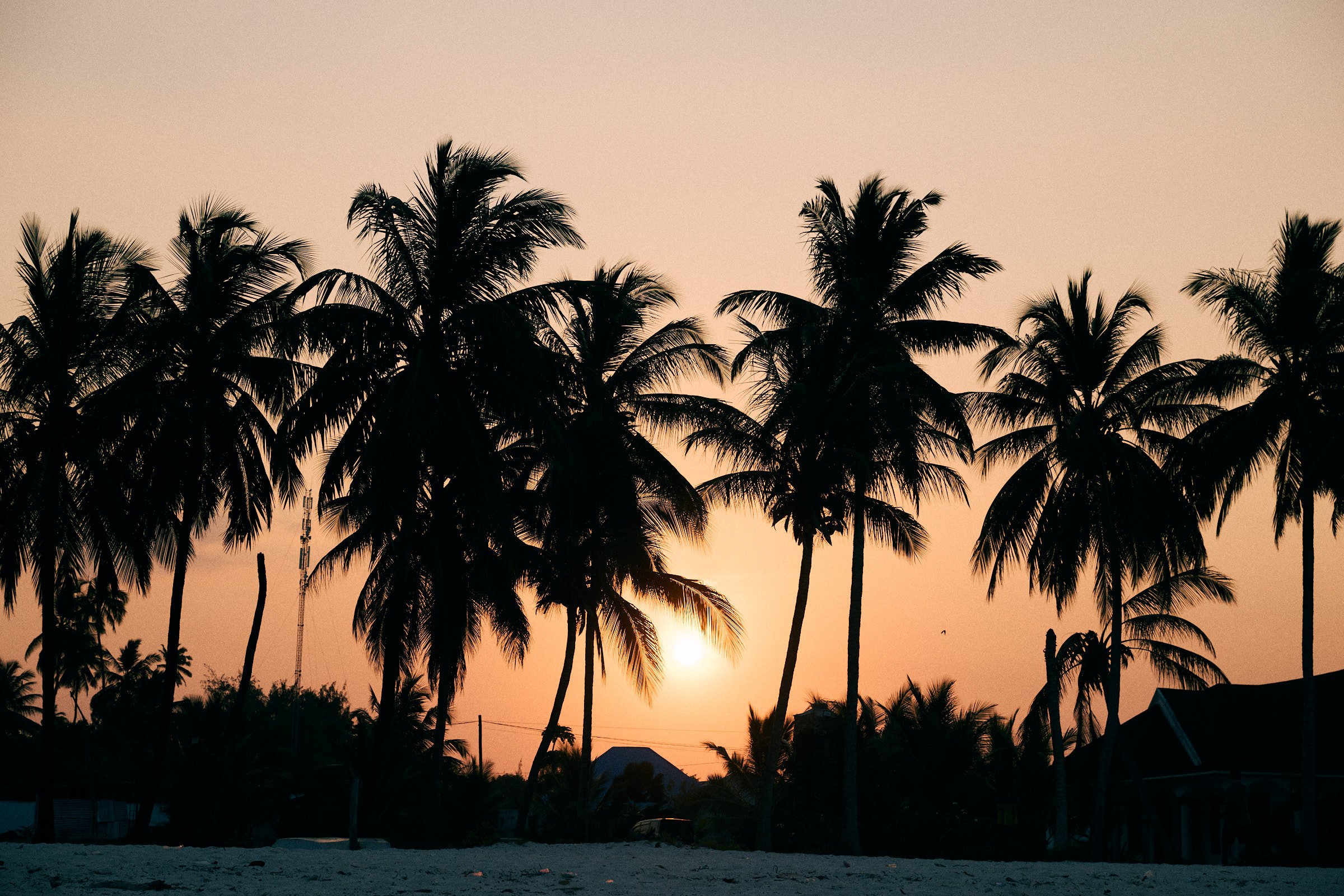 260717_julianwalter_zanzibar_3968.jpg