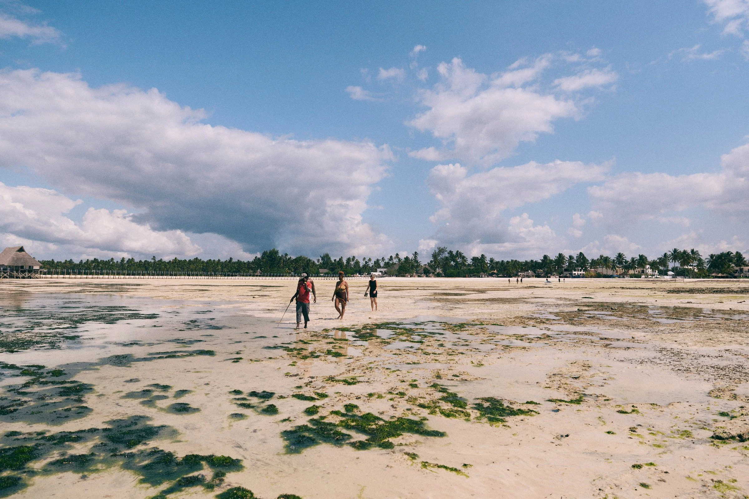 260719_julianwalter_zanzibar_12131.jpg