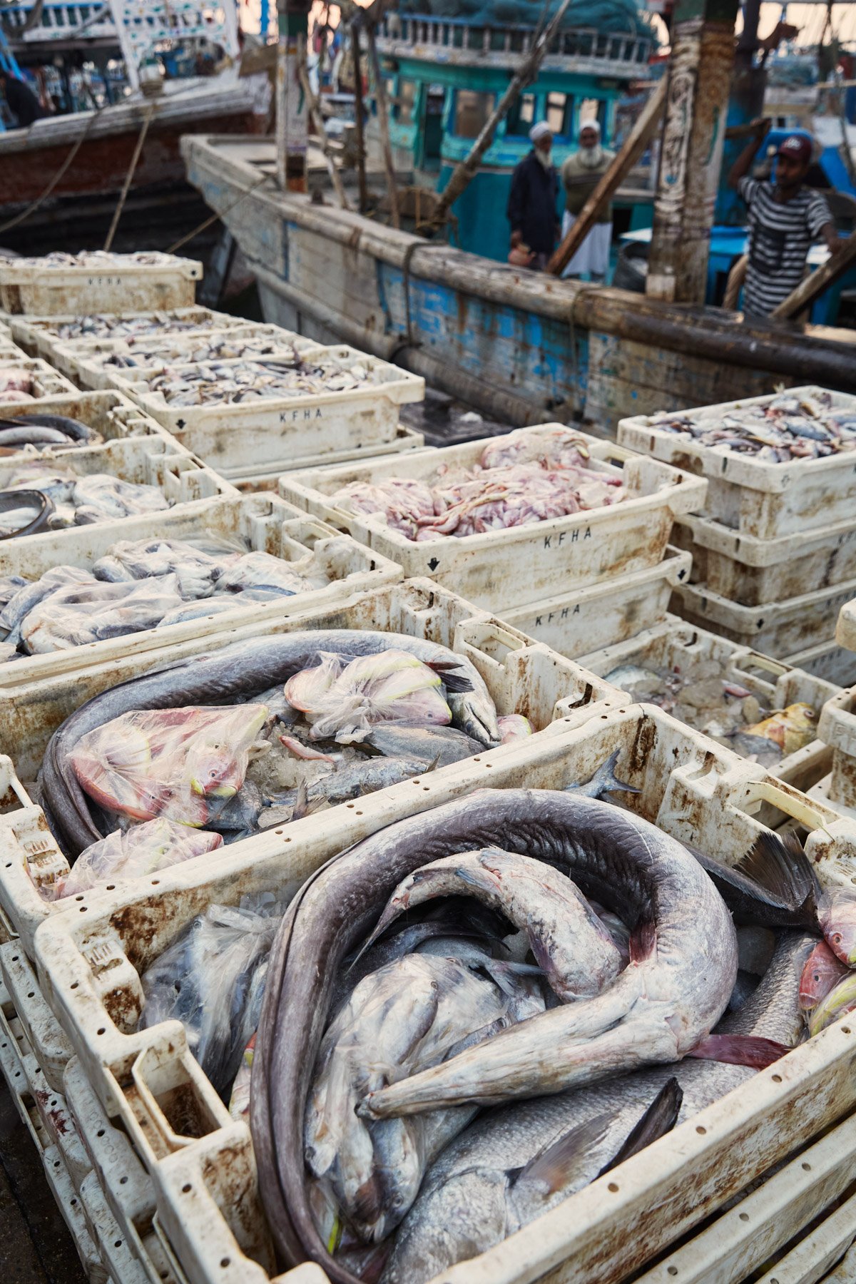 Crates of fresh fish at a busy outdoor fish market with boats in the background at Karachi Dockyard in Pakistan.