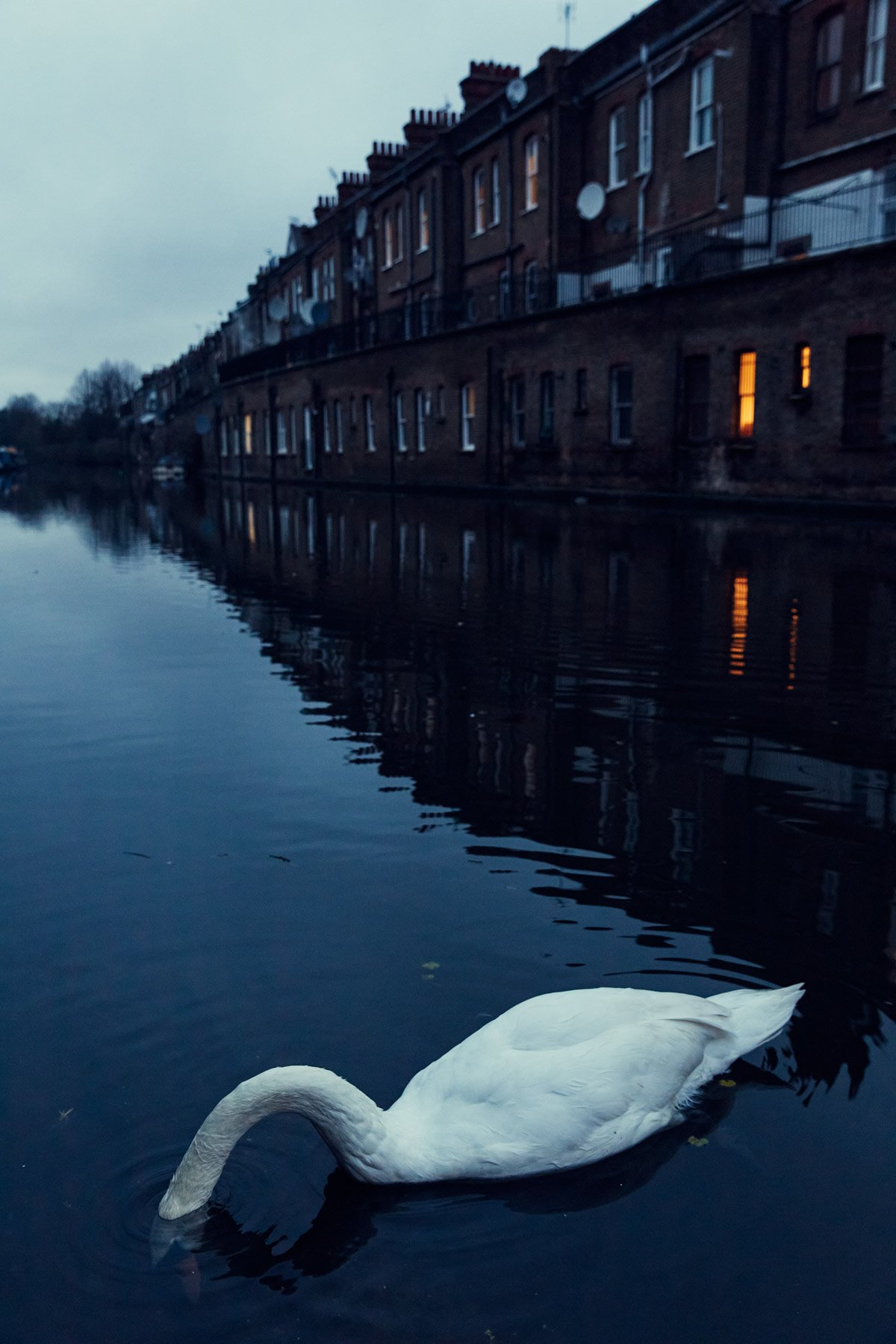 210127_julianwalter_londoncanals_7385.jpeg
