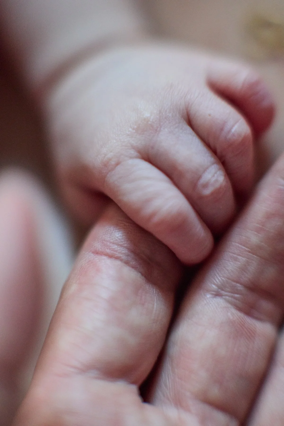 Close-up of a small baby newborn hand gripping an adult finger. At Mount Sinai hospital in New York City