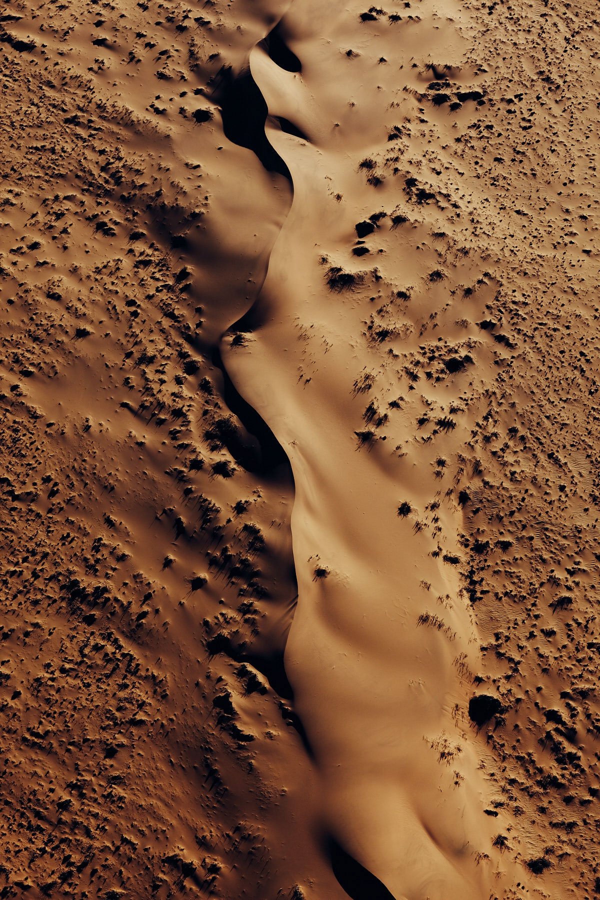 julianwalter_namibia-namib_012.jpeg